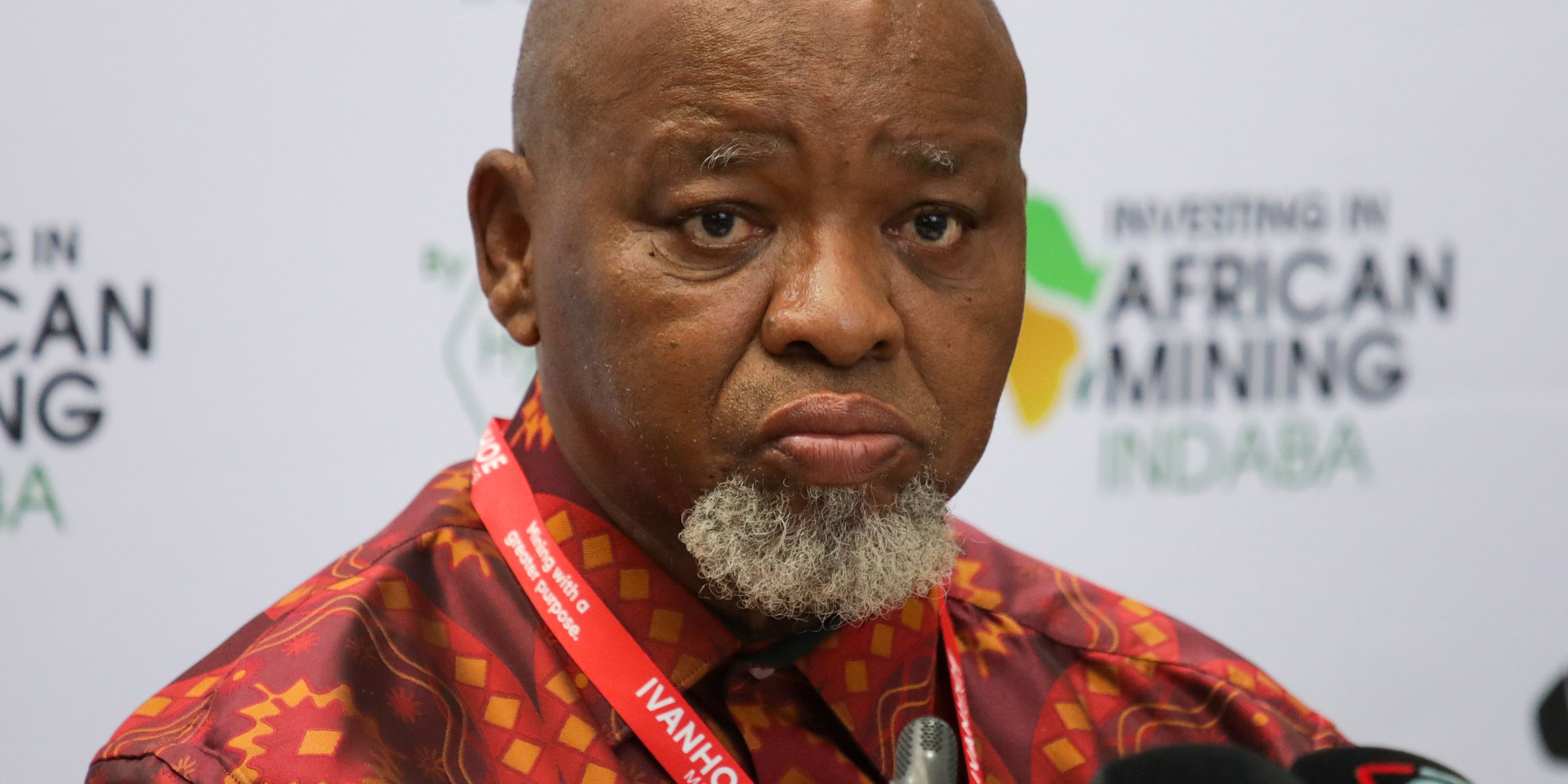 Loaded for Bear: SA’s mining cadastre will take at least a year to be up and running