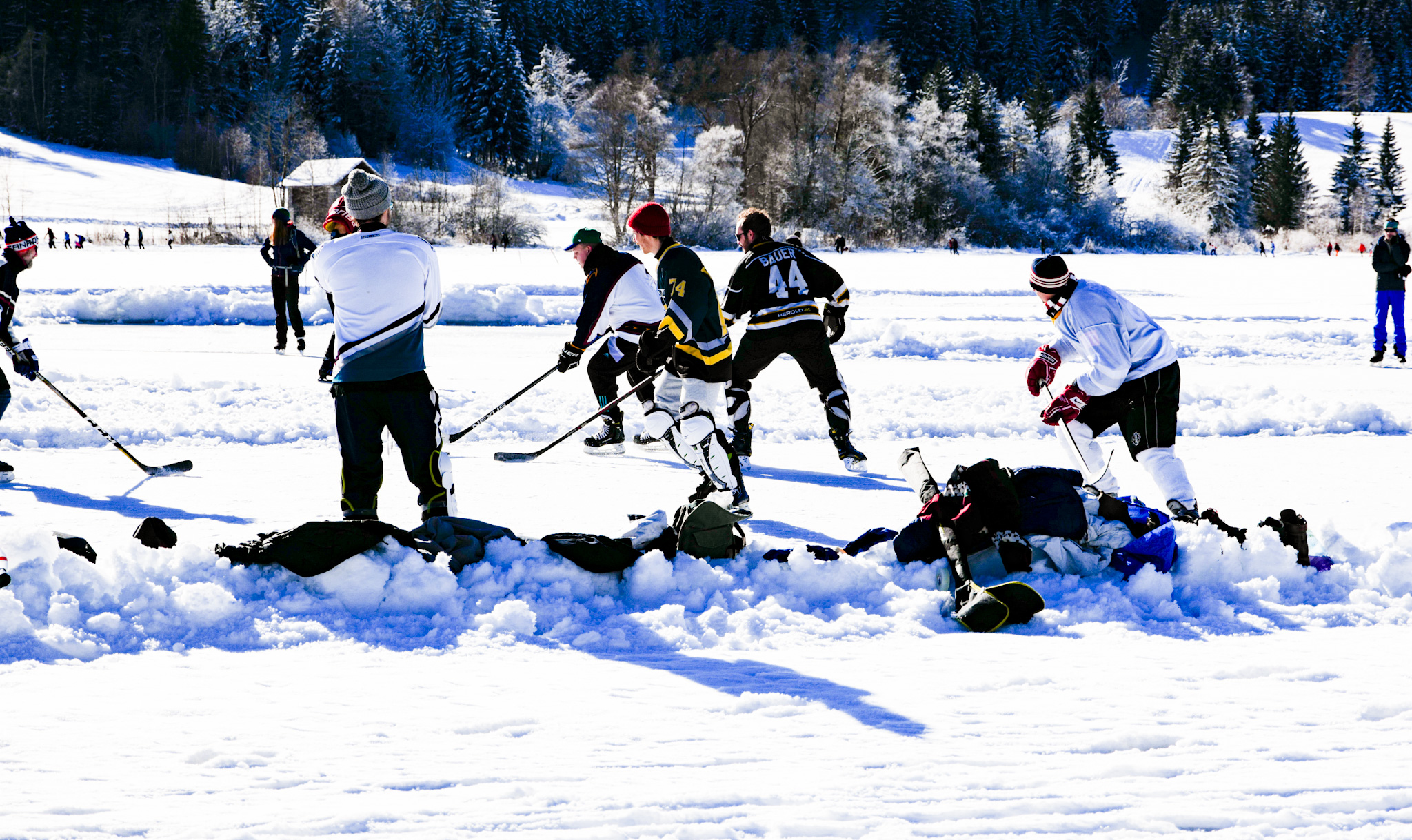 P4U_readersubmission_20240216