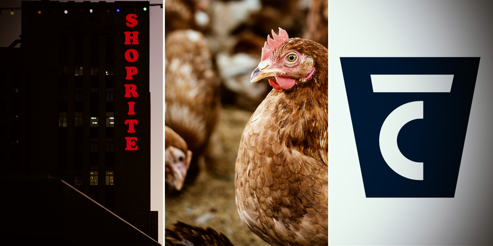 The Finance Ghost: The market lowdown on Shoprite, Astral Foods and Transaction Capital