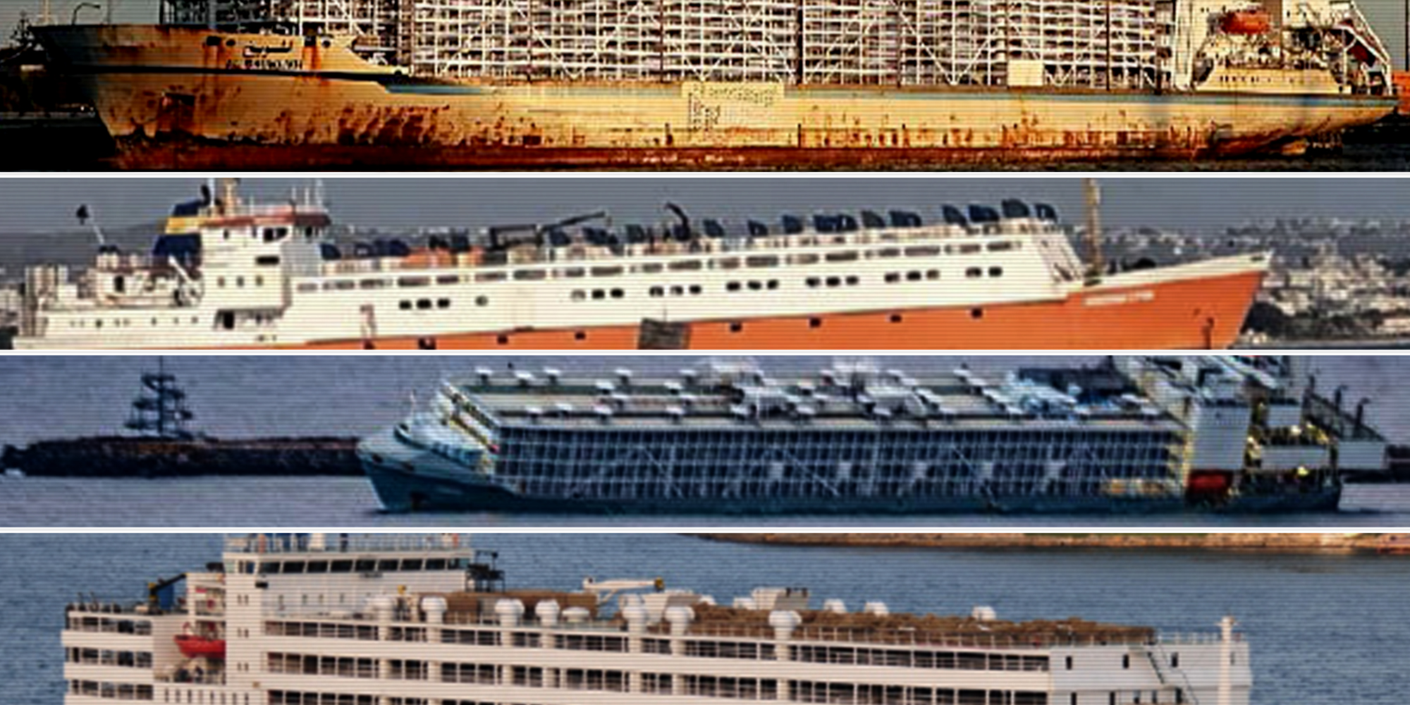 The cruelty of floating feedlots that ply the seas with living cargo destined to die