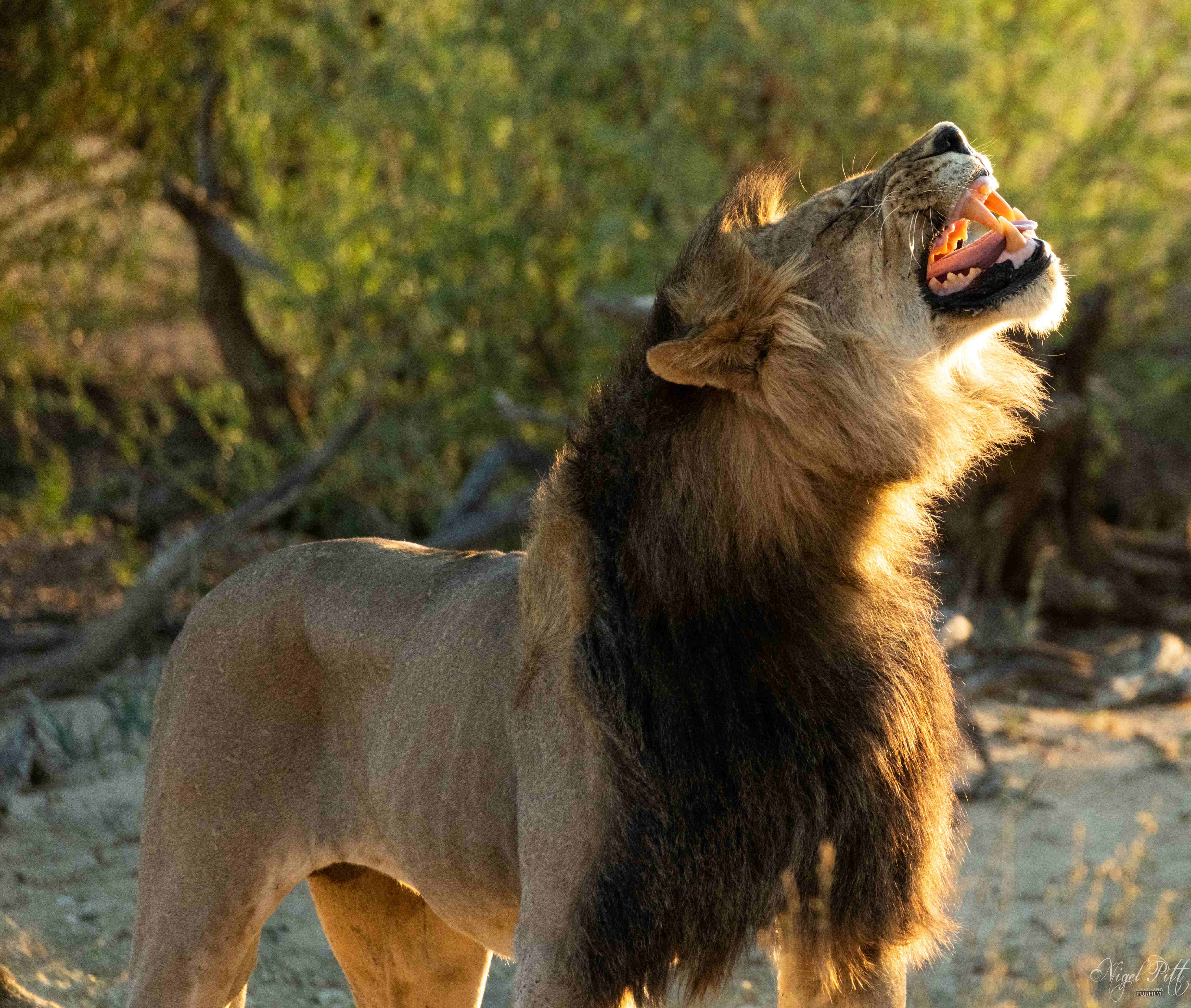 P4U_readersubmission_20240209