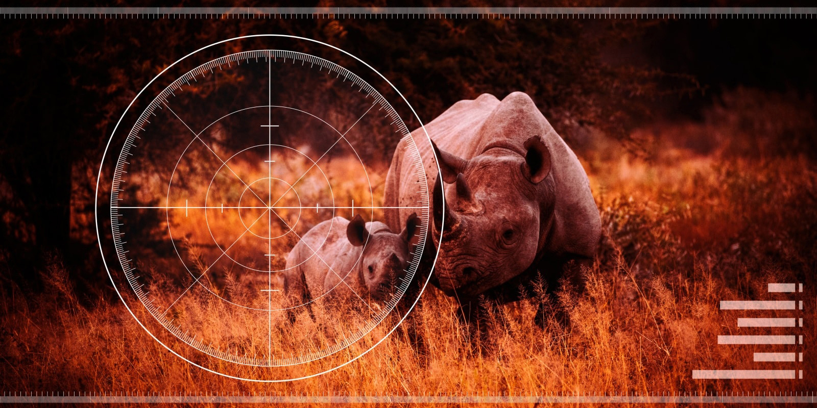 Local business forums squabble over fencing contracts while KZN faces rhino bloodbath