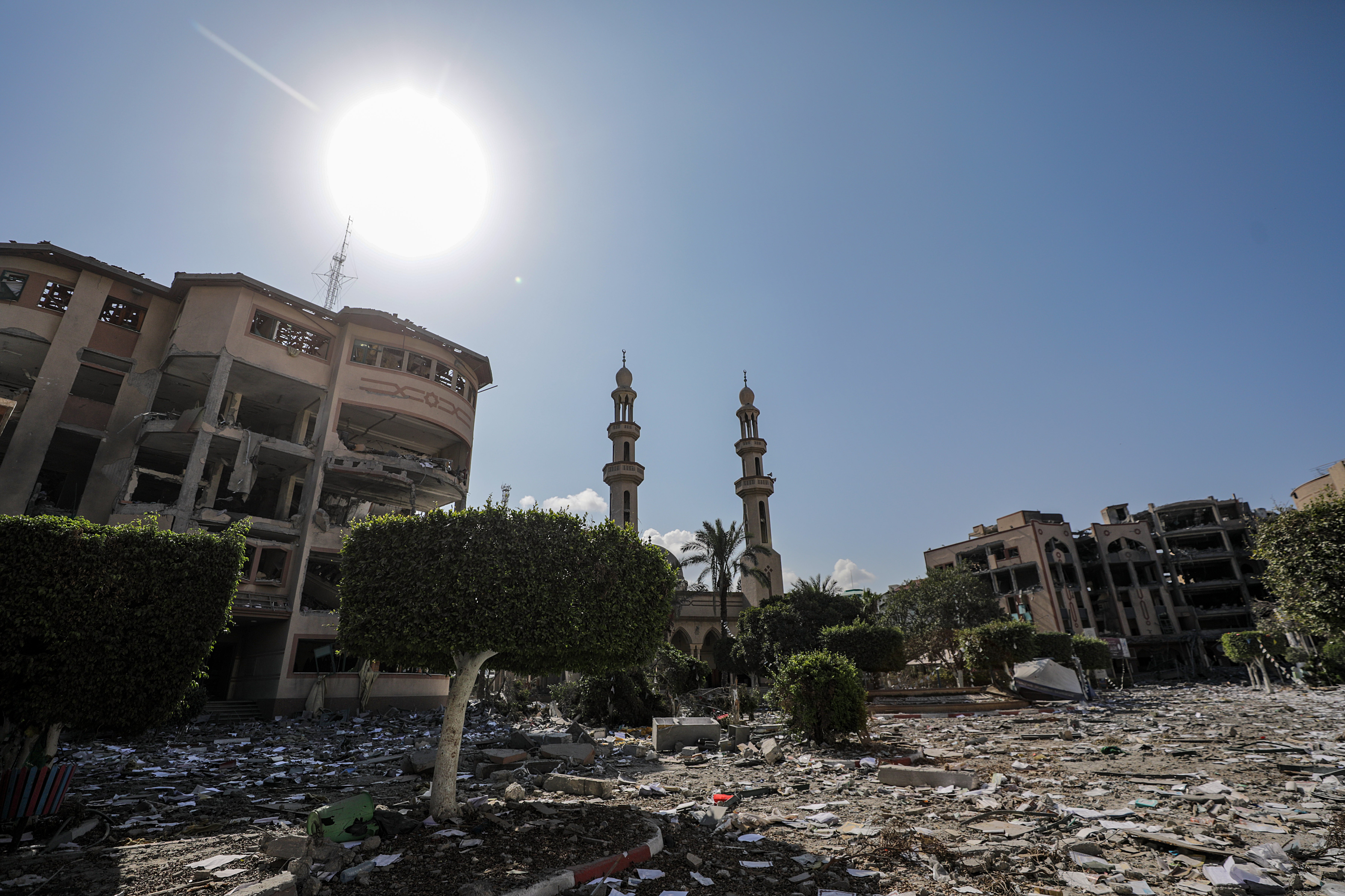 Mark-Education in Gaza