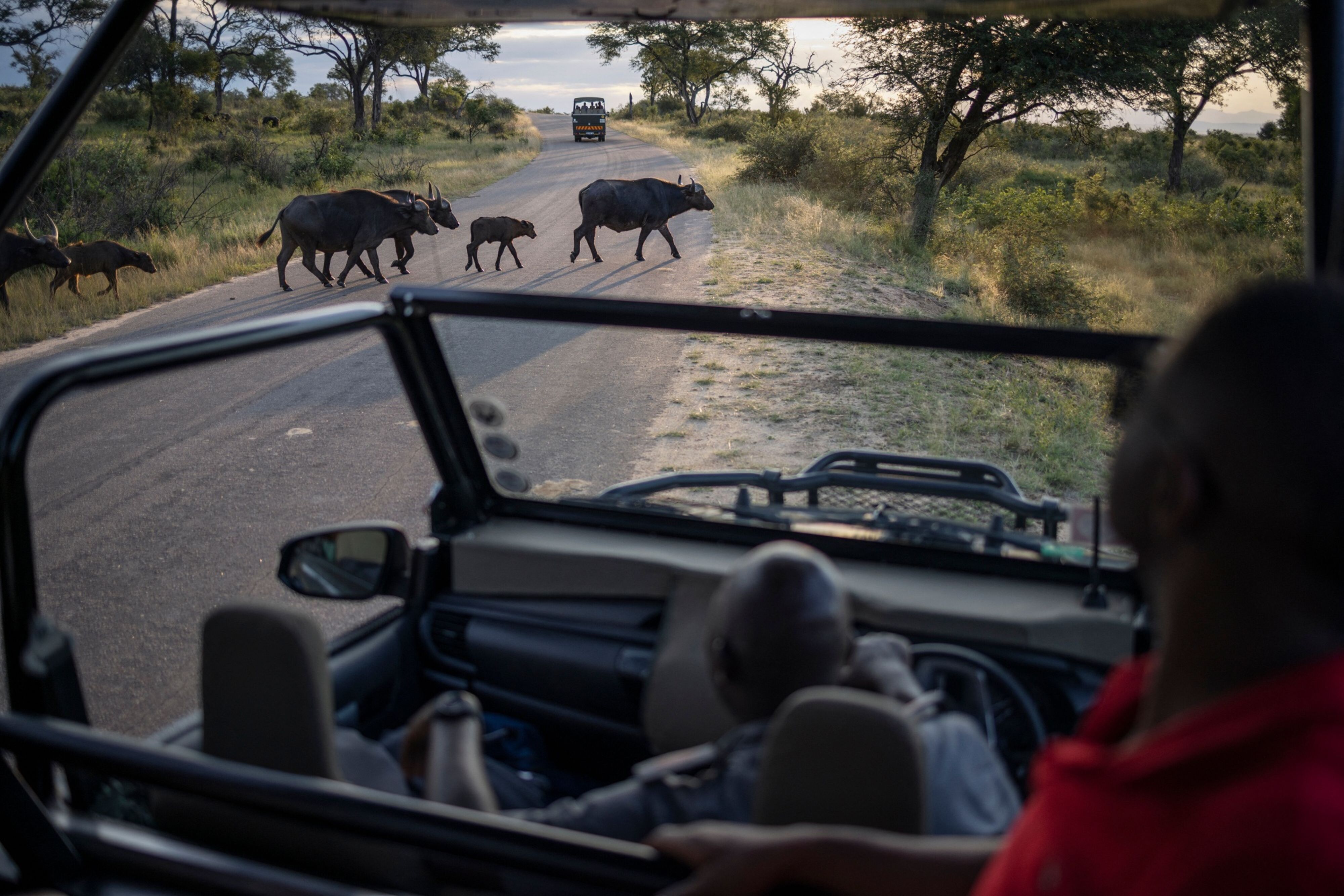 South Africas Kruger Park Opposes New Border Link to Mozambique