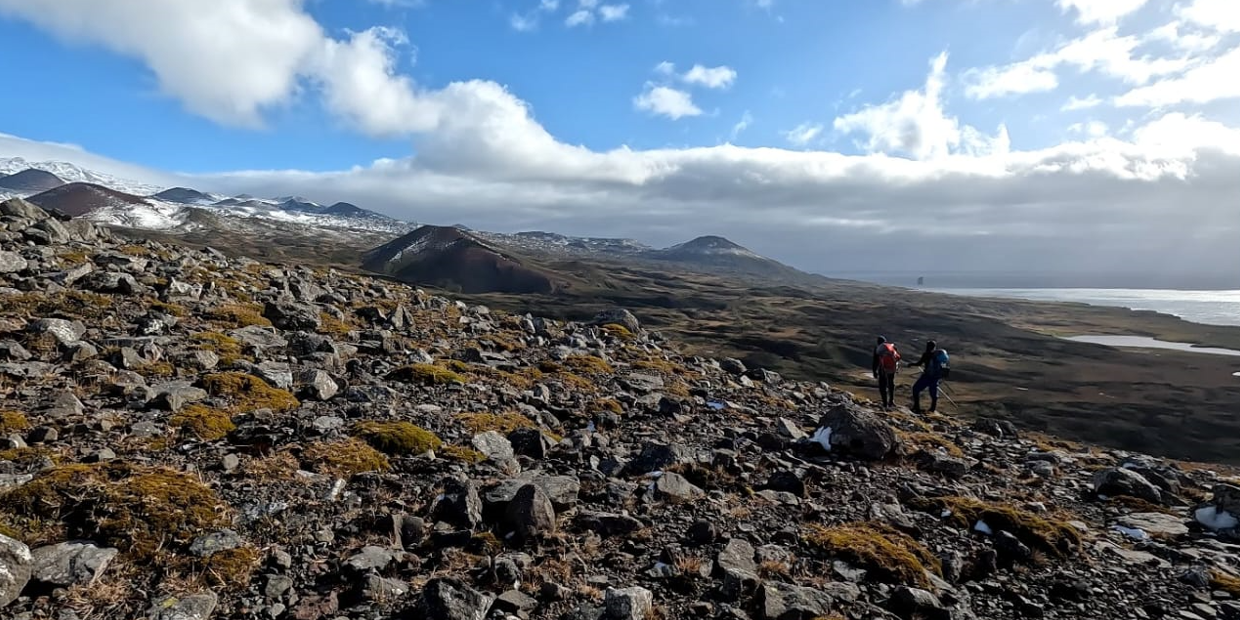 Microbial guardians of Marion Island: Unveiling the hidden world in Sub-Antarctic soils amidst climate change challenges