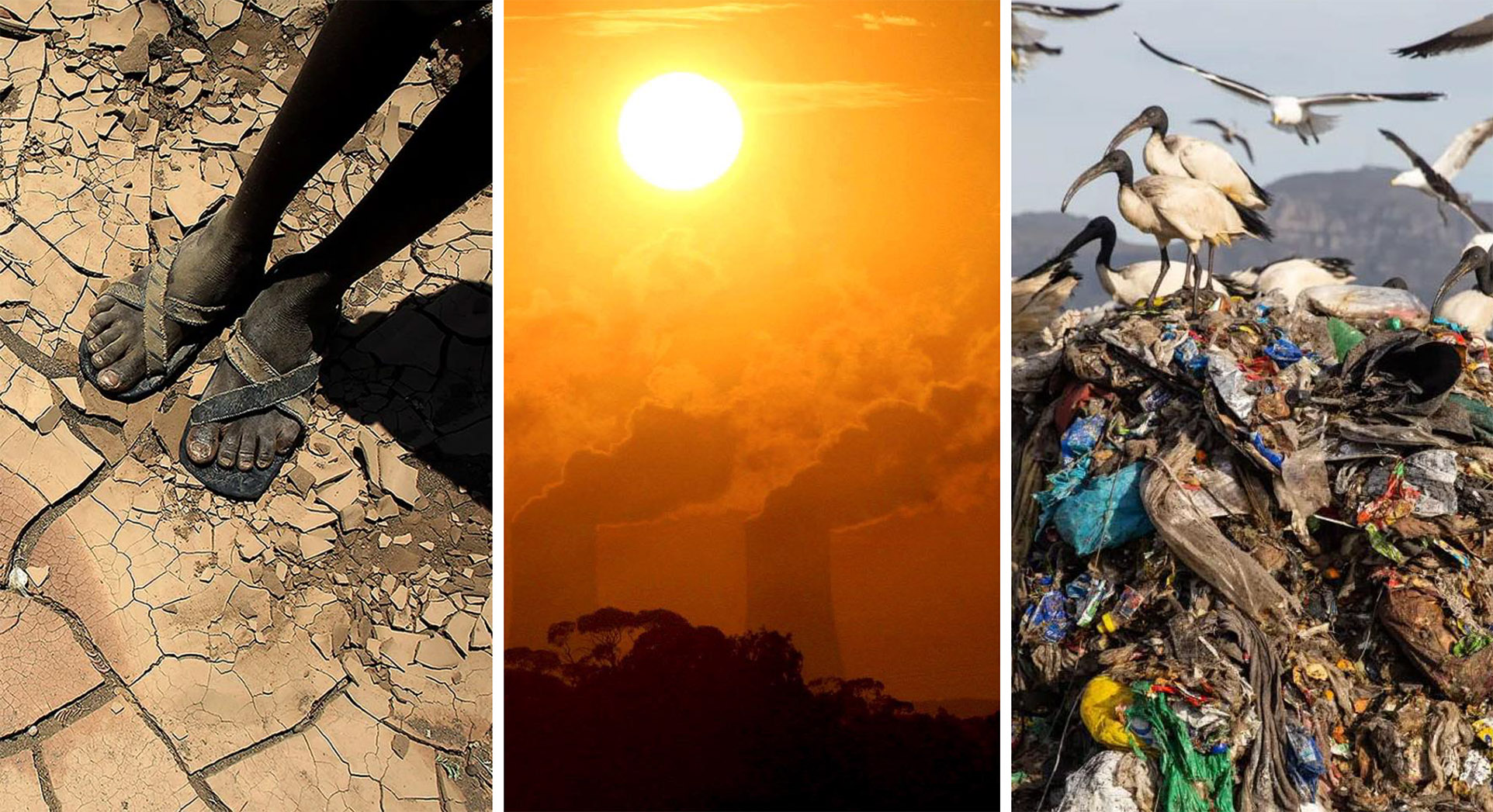 UN gathering ‘delivers extra boost’ to help protect environment