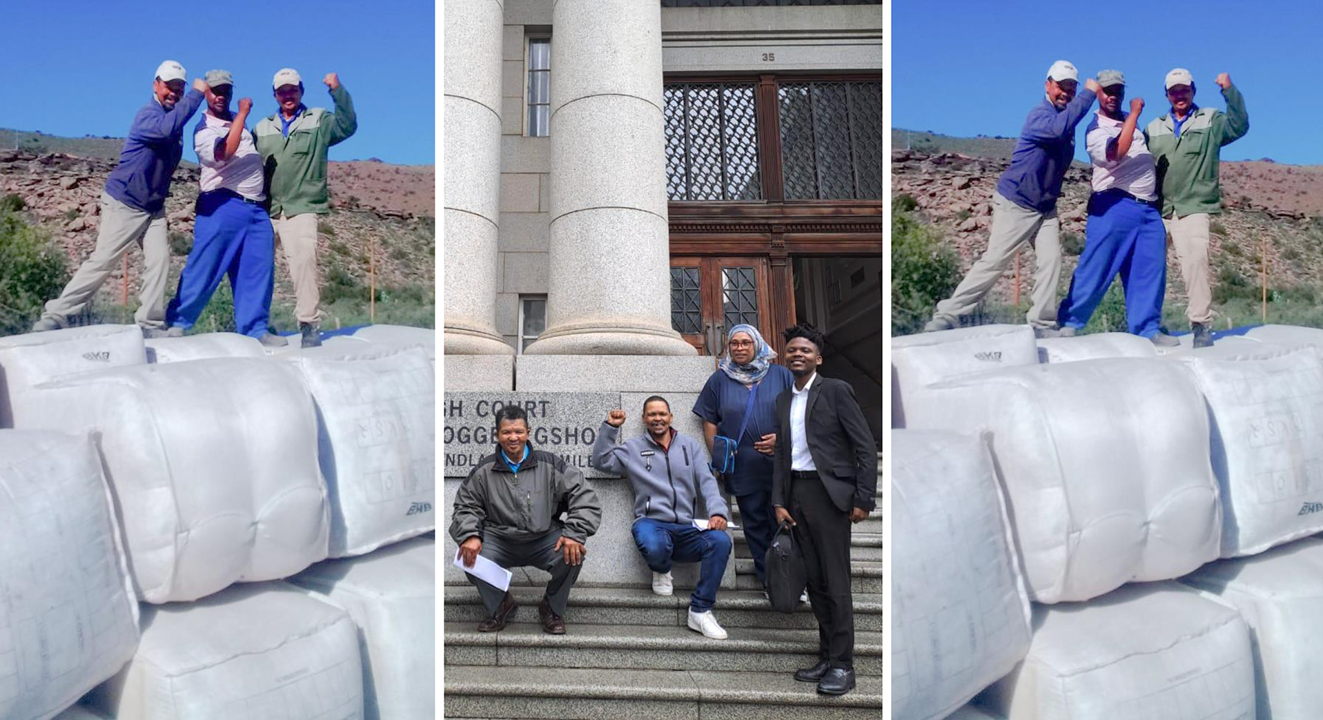 Award-winning Karoo wool farmers win battle to have farms returned after government locked them out