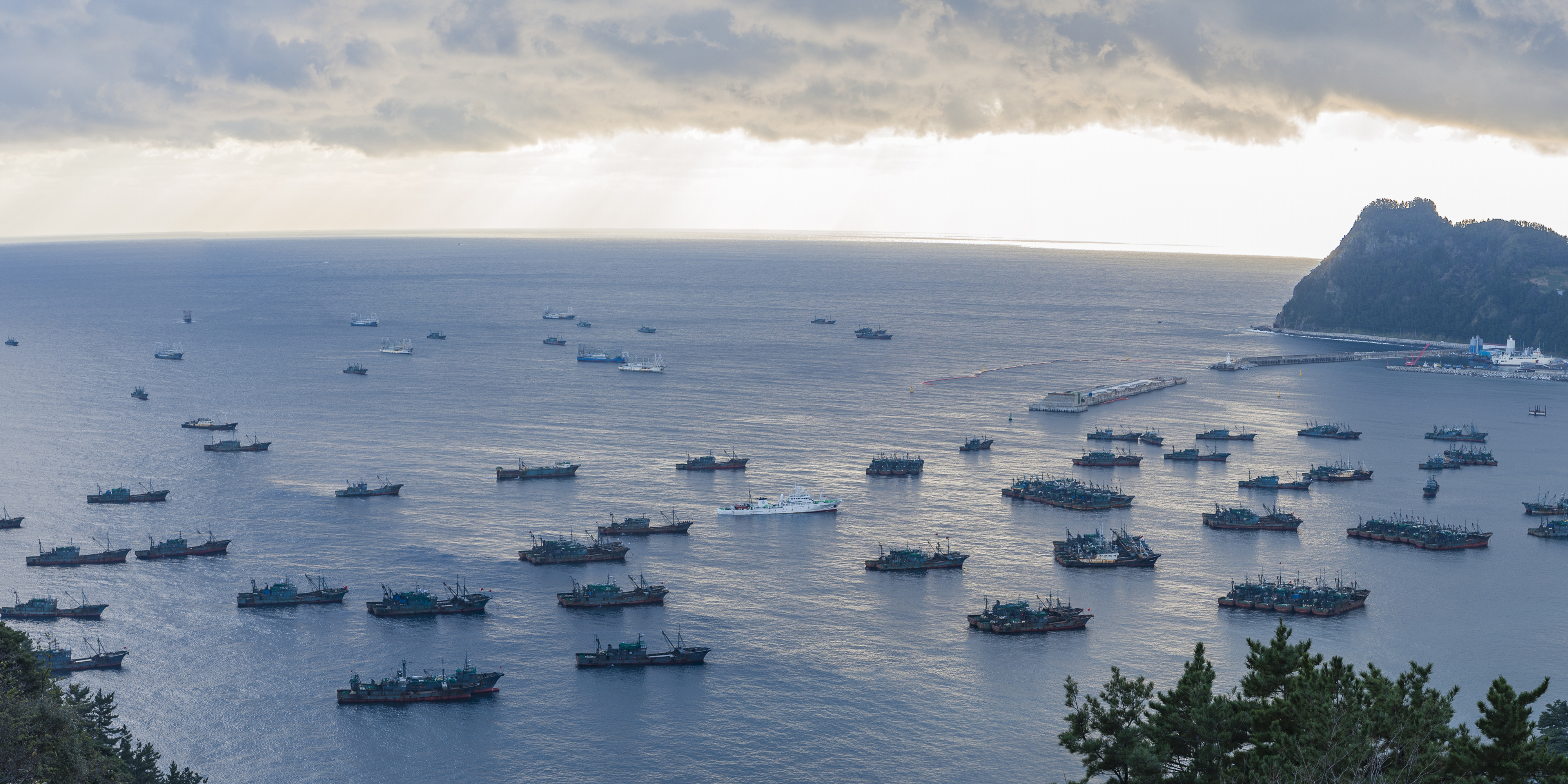 North Korean forced labour programme condemns workers to beatings, sexual abuse in Chinese seafood factories