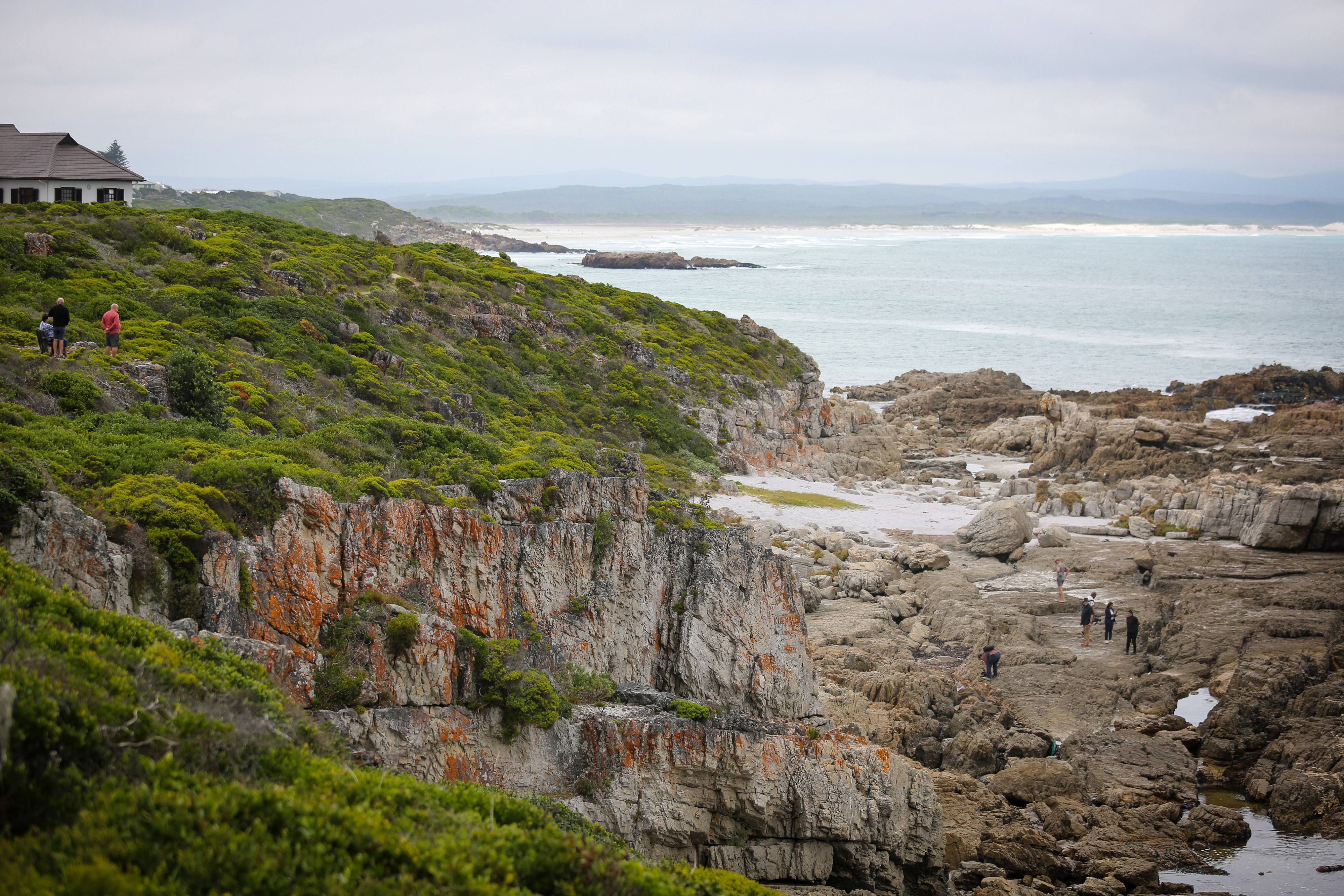 Hermanus residents express anger and sympathy over Jooste's death by suicide