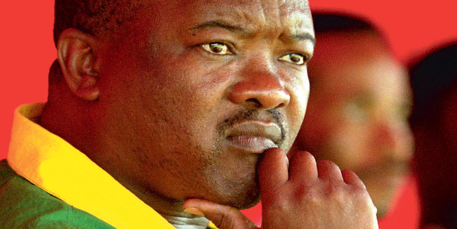 UDM manifesto — end the coalition free-for-all and ban forced marriages