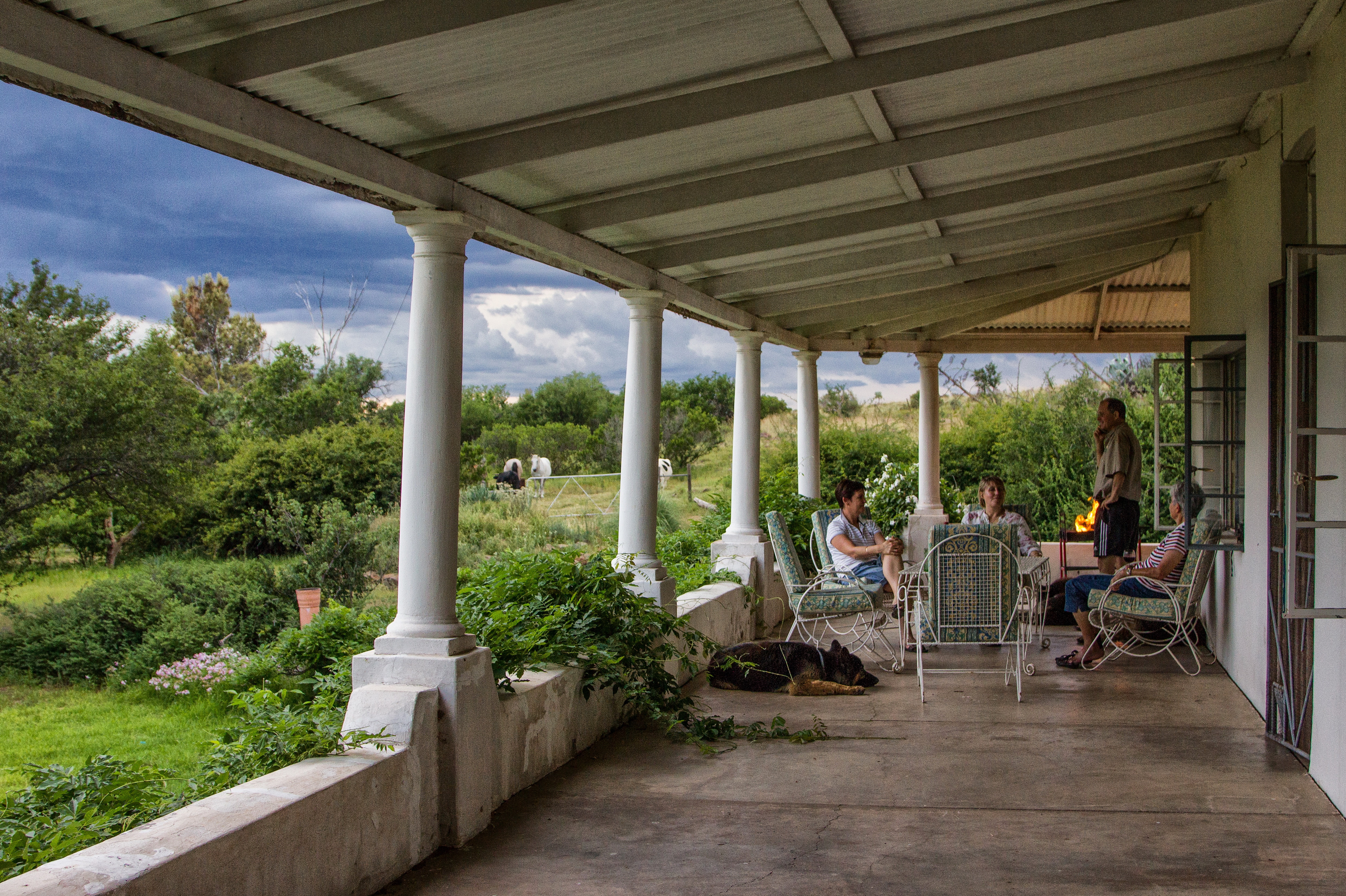 The ups and occasional downs of learning how to socialise well in a small town