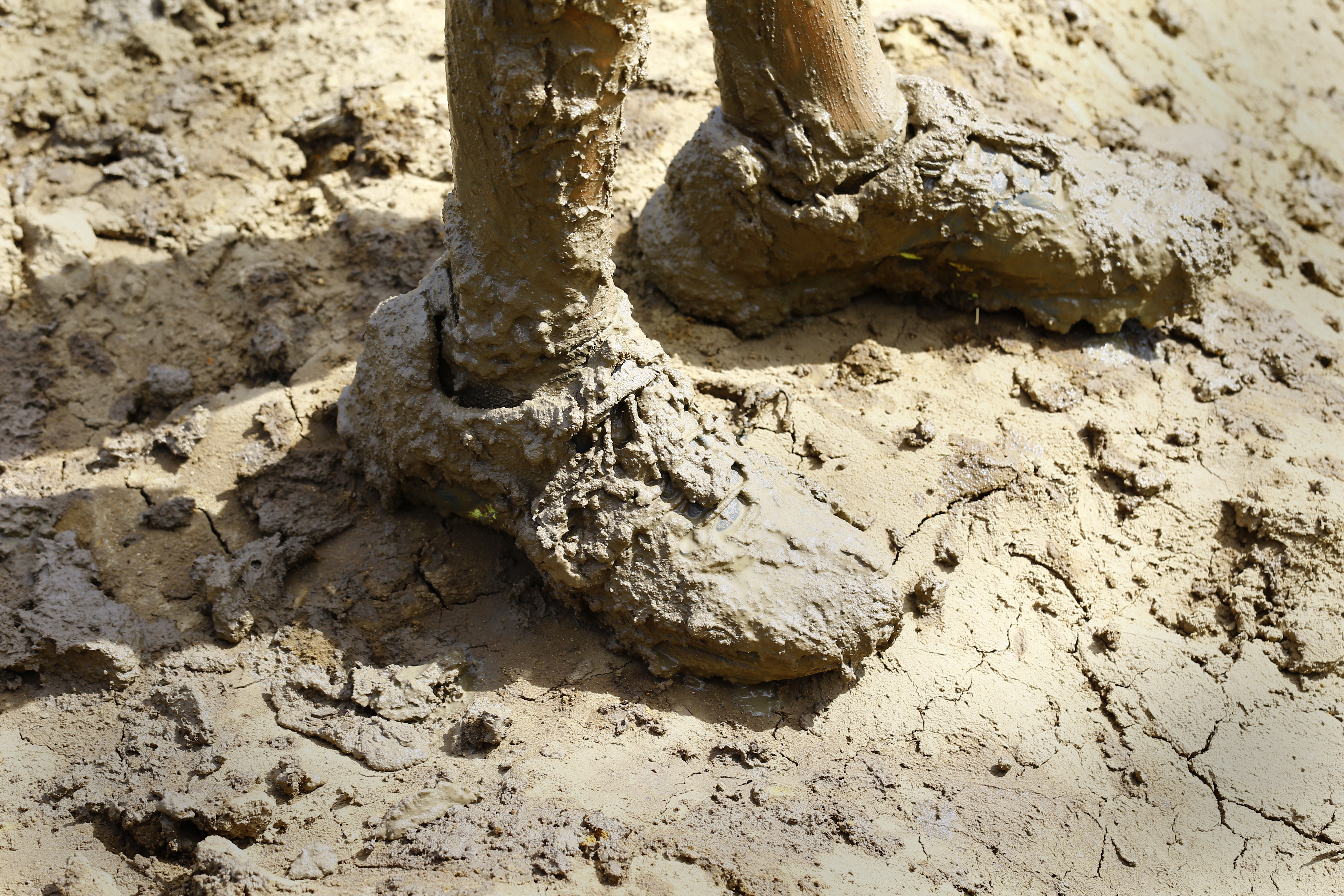 South Africa Warrior Race