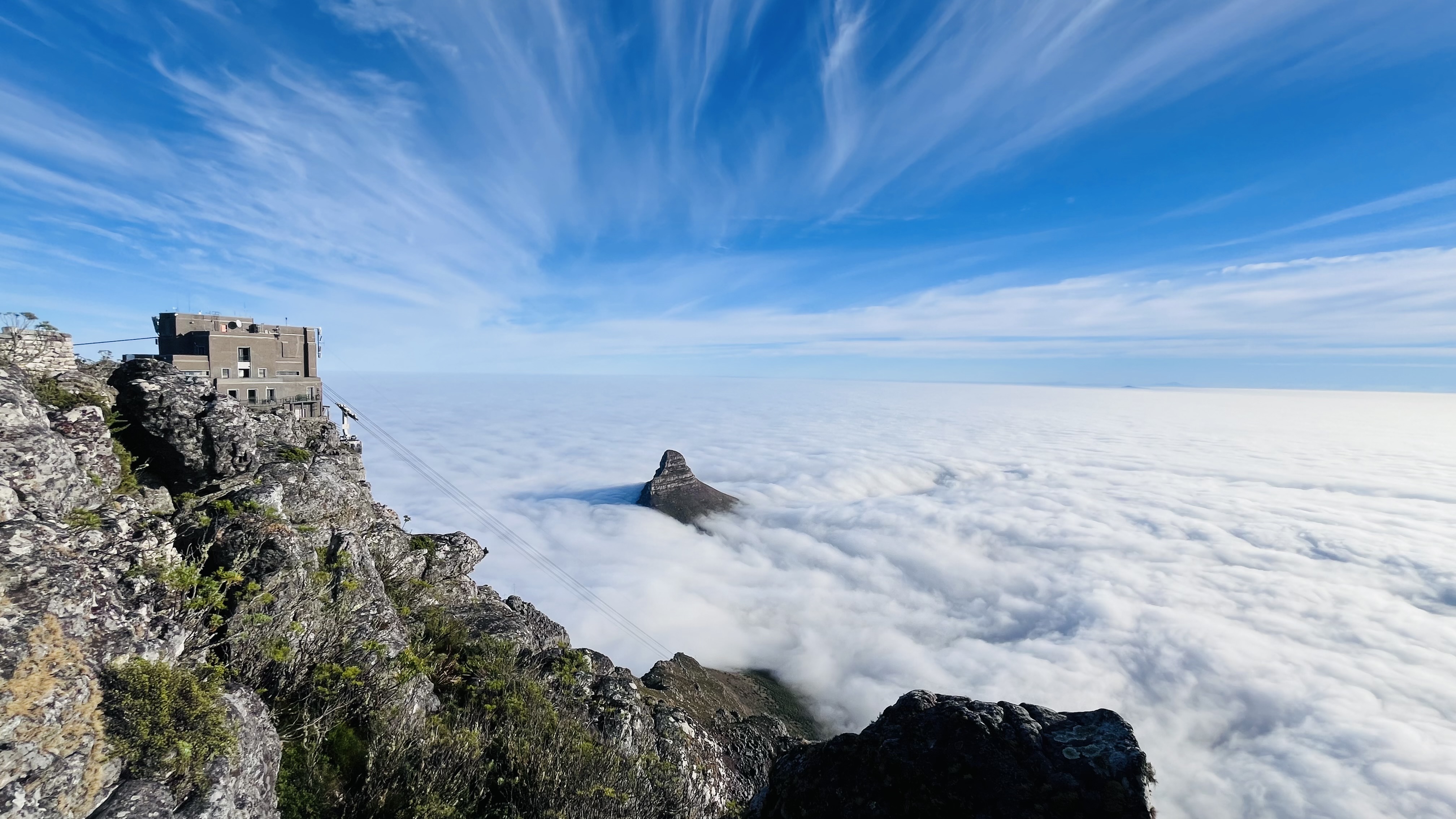 P4U_readersubmission_20240426