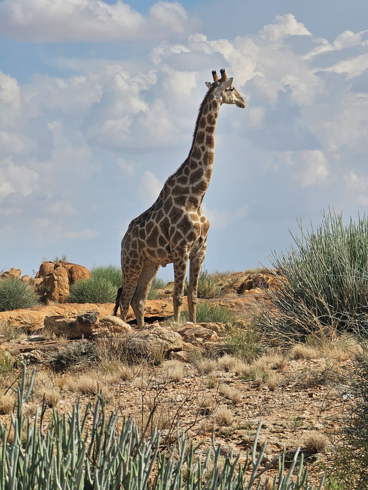 P4U_readersubmission_20240405