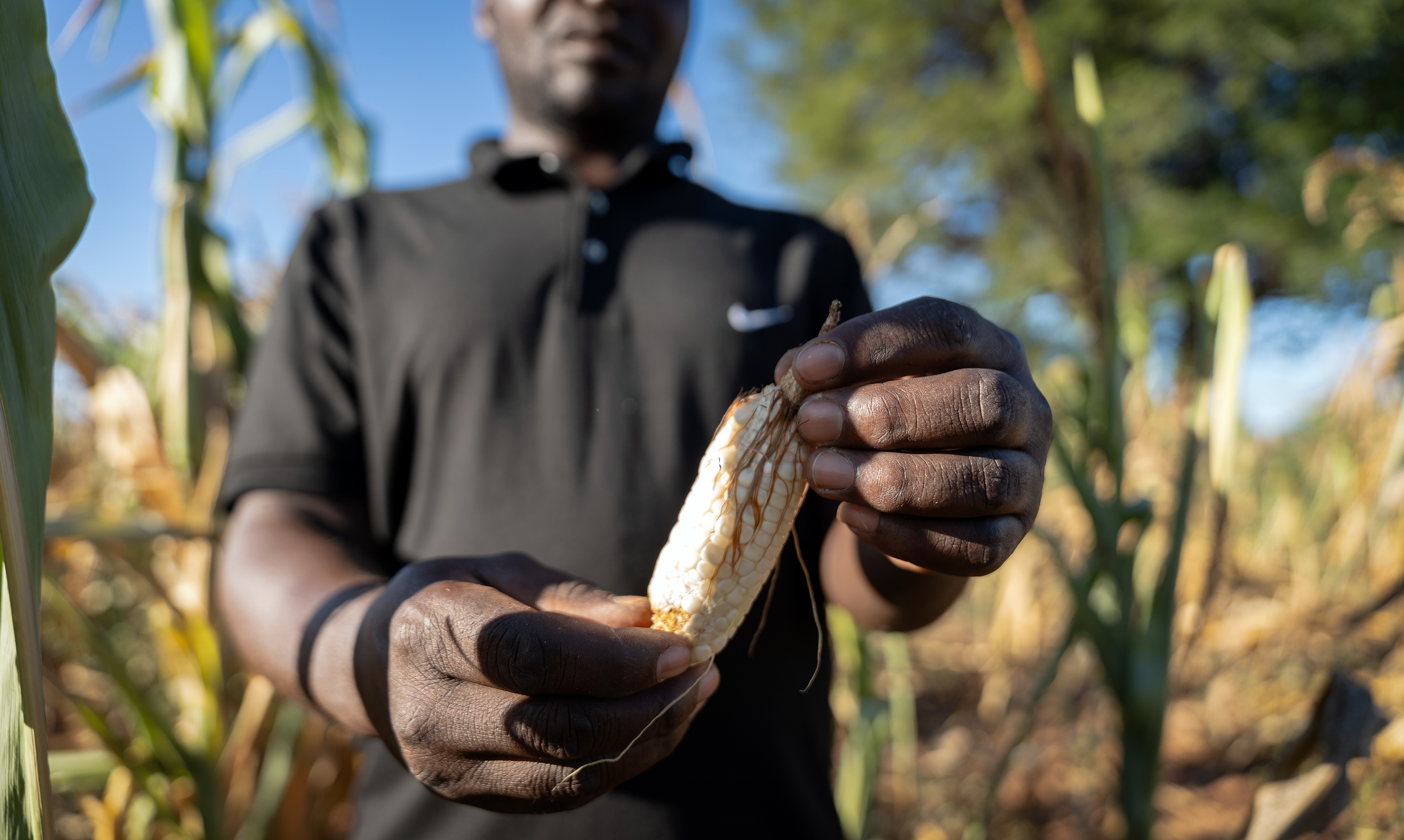 El Niño has ended but the full wrath of its economic and social impact is still to come