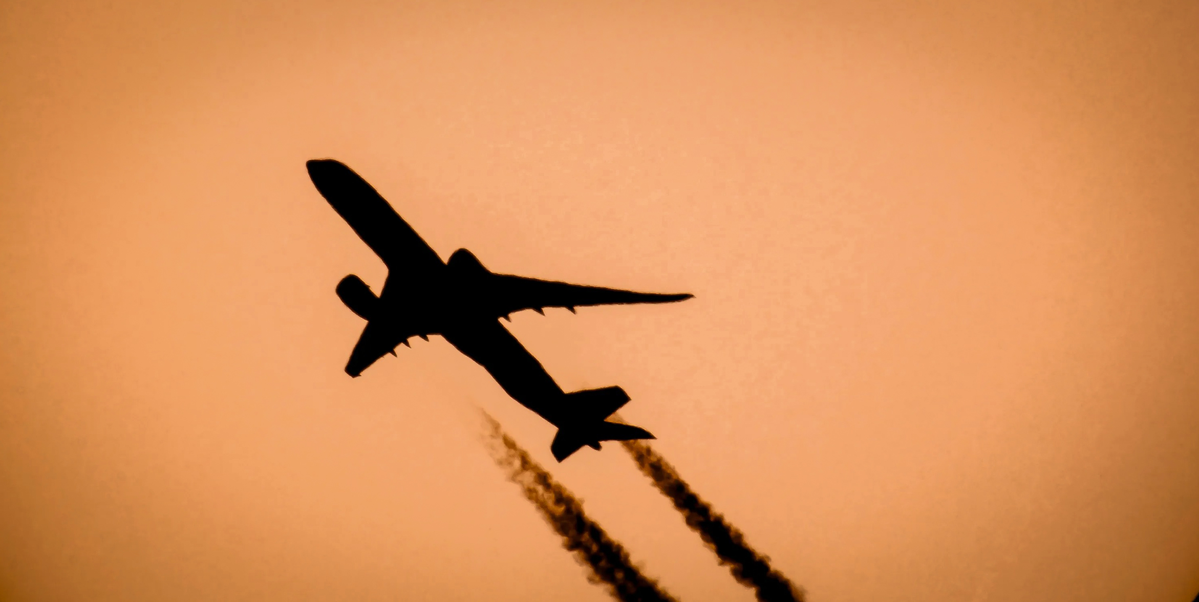 Thousands of South Africans have sought asylum abroad, says Stats SA migration report