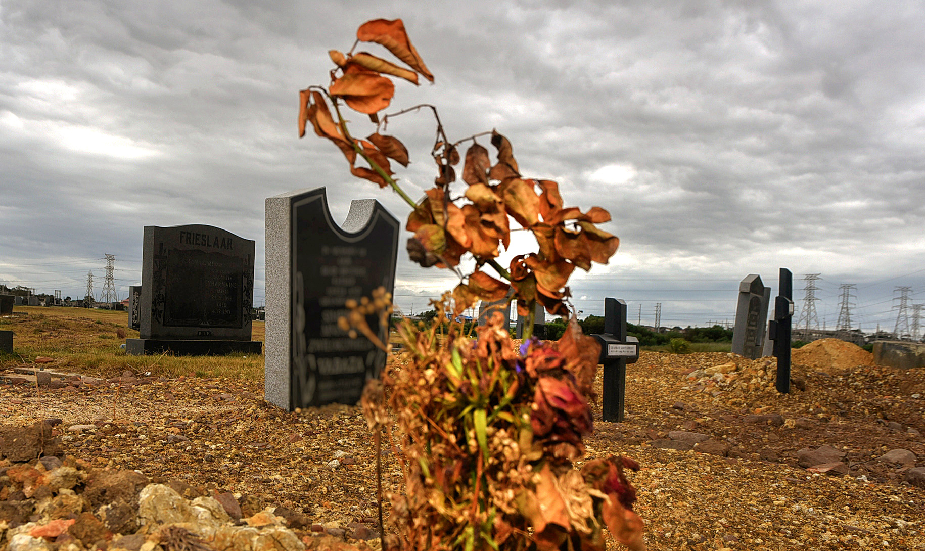 Almost 350 children died of malnutrition in SA during lockdown in 2020