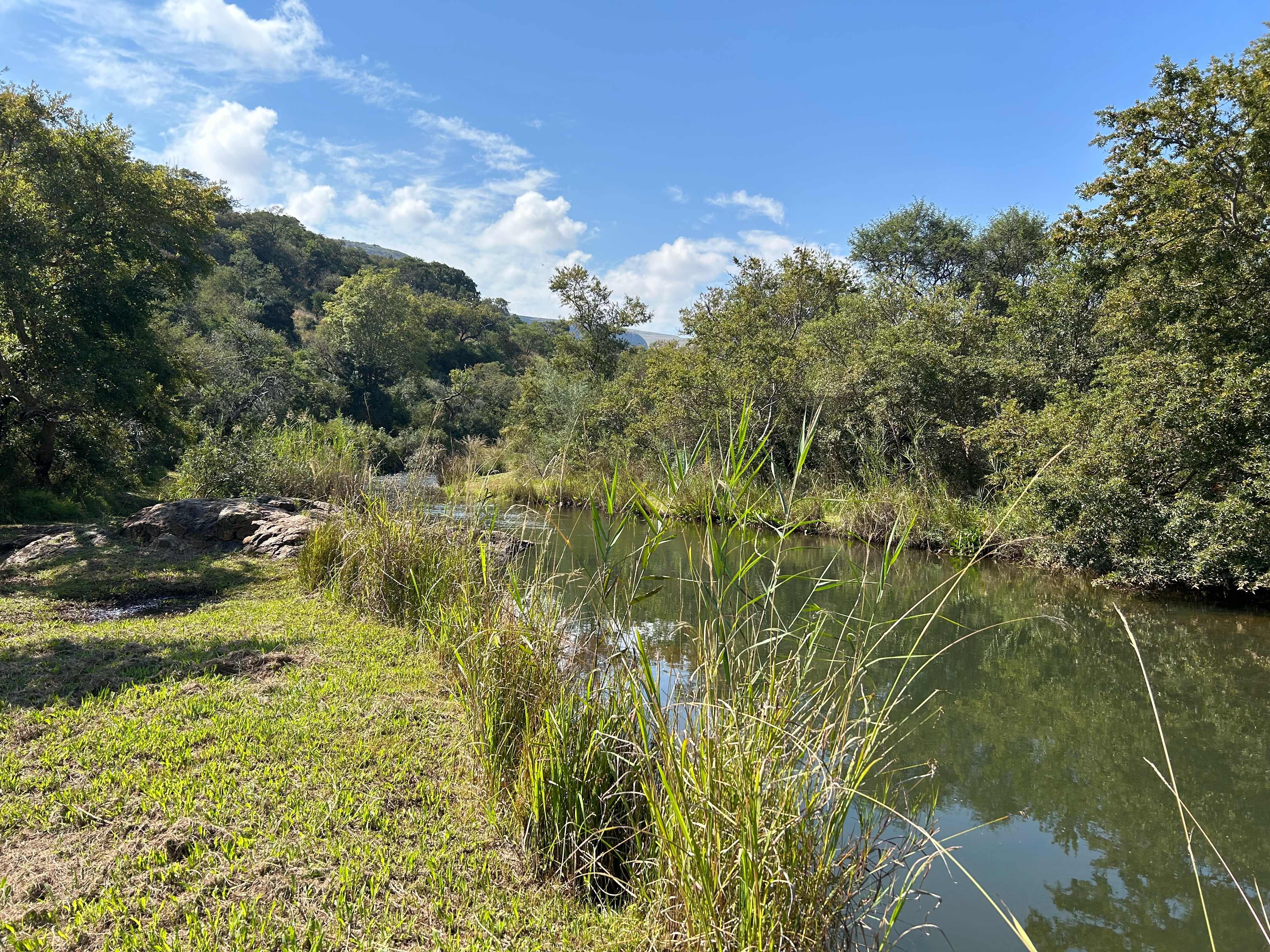 A weekend of trout fishing in leopard country is a reminder that SA still has clean waters