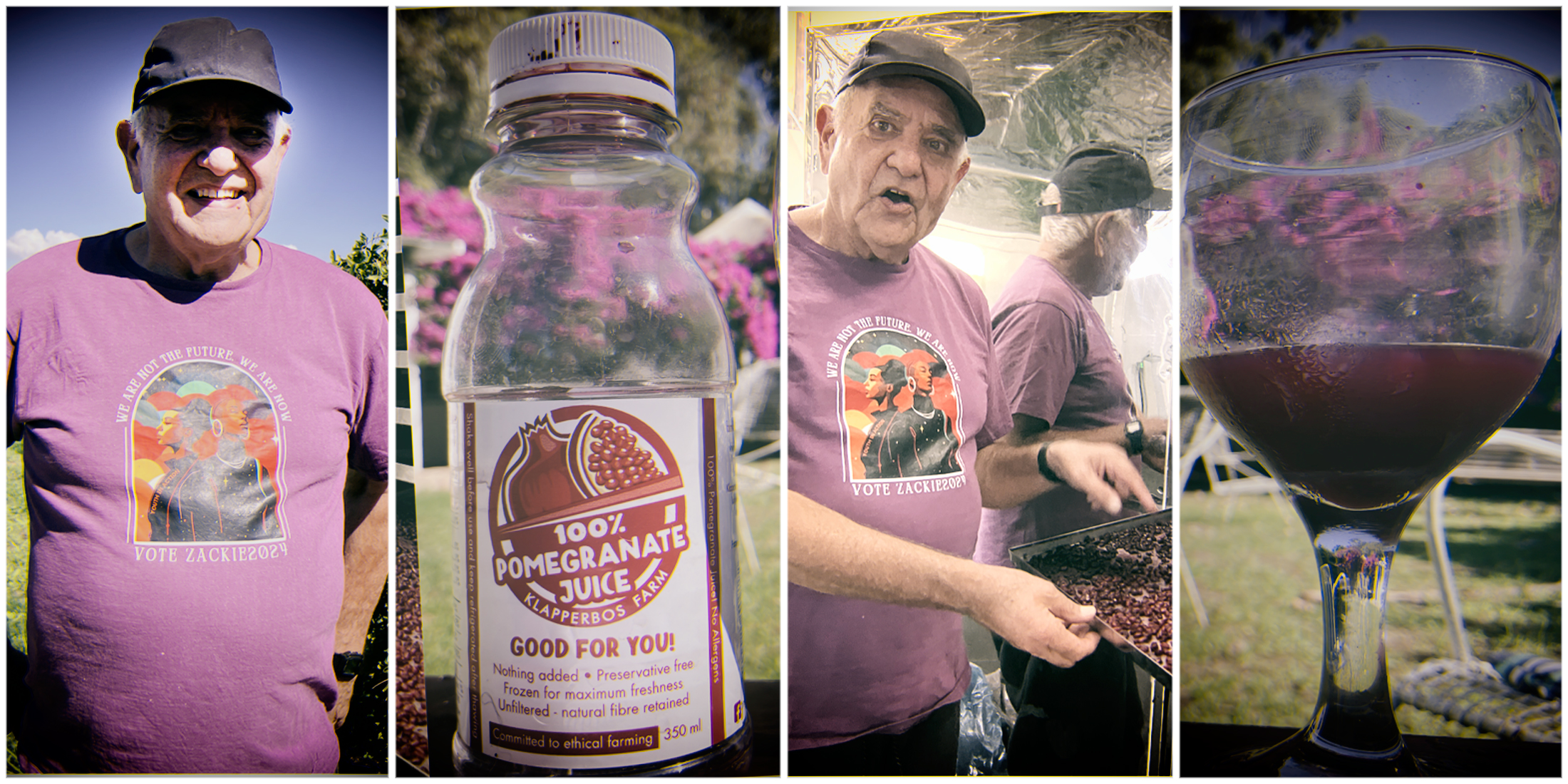 30 years of democracy — Anti-apartheid activist Jack Lewis and pomegranate orchard managerialism