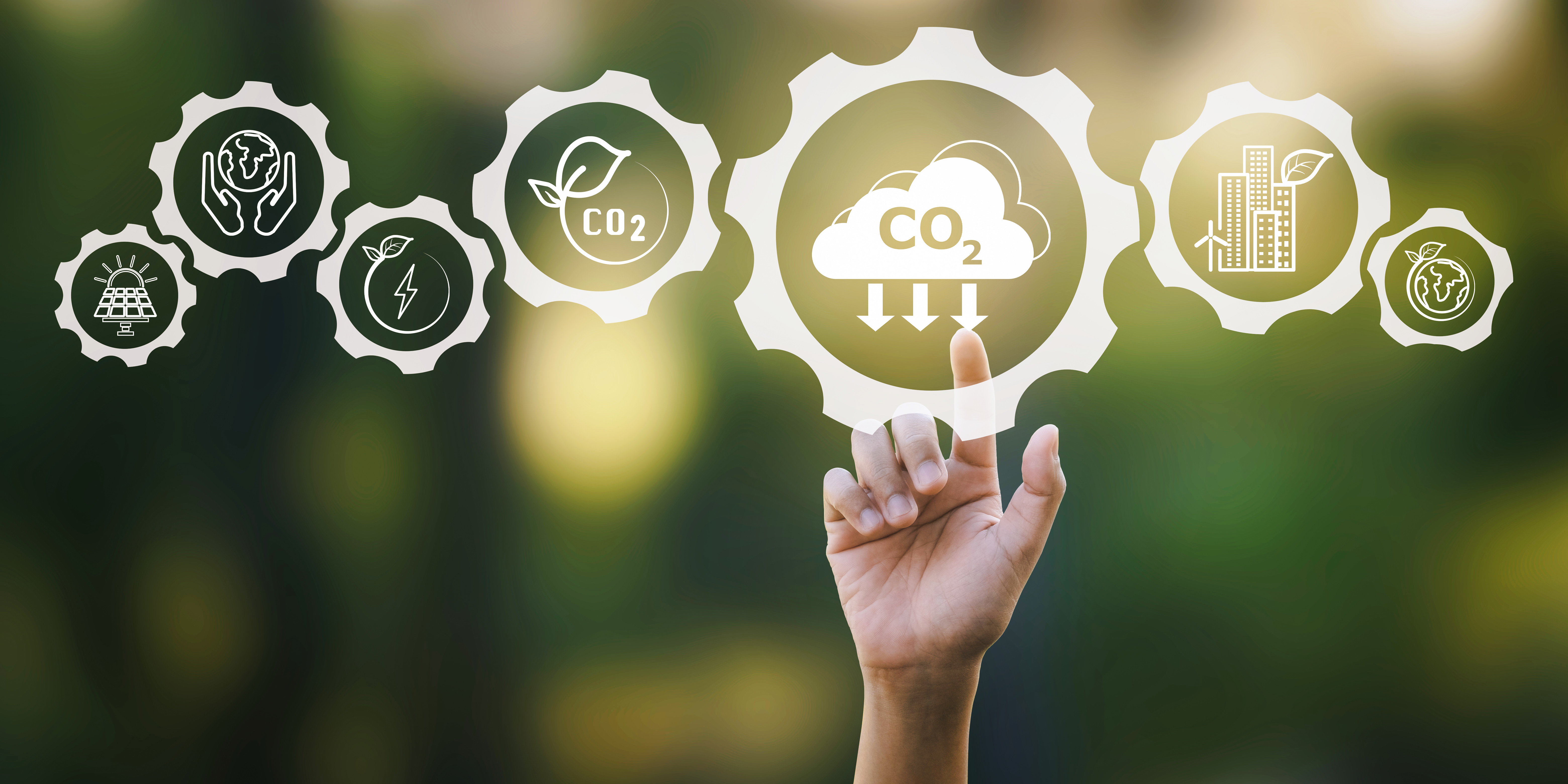 Watch — how big is your carbon footprint?