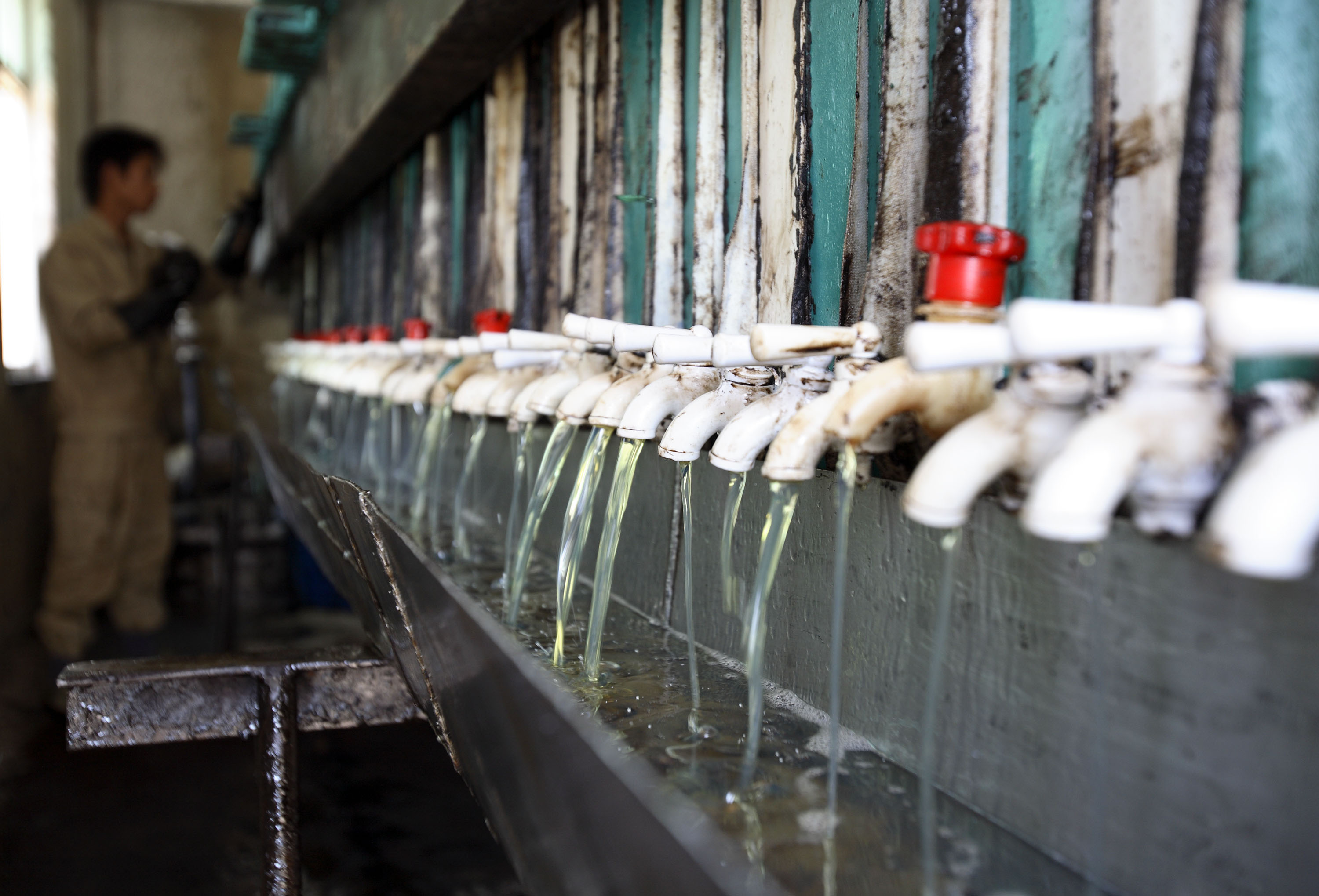 Liquid extracted from recycled cooking oil flows from a seri