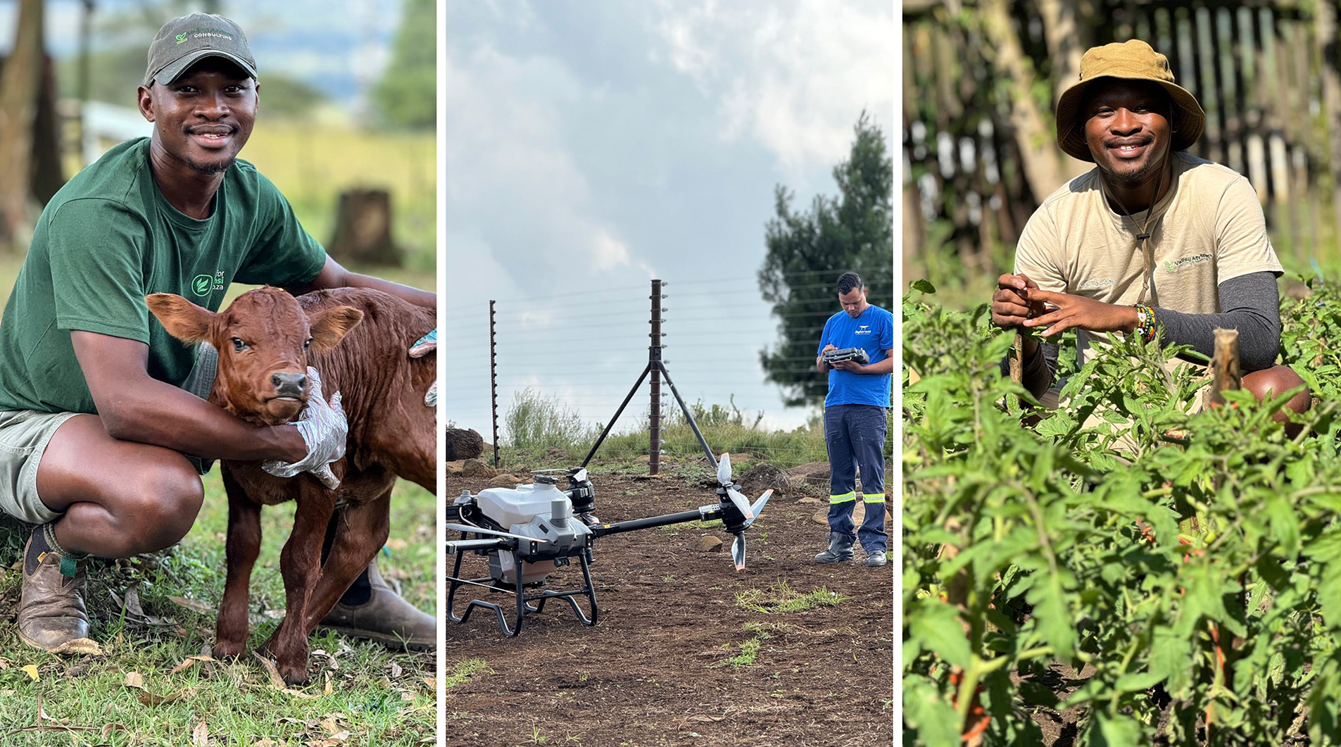Fields of dreams — breaking barriers, empowering farmers through mentorship and innovation