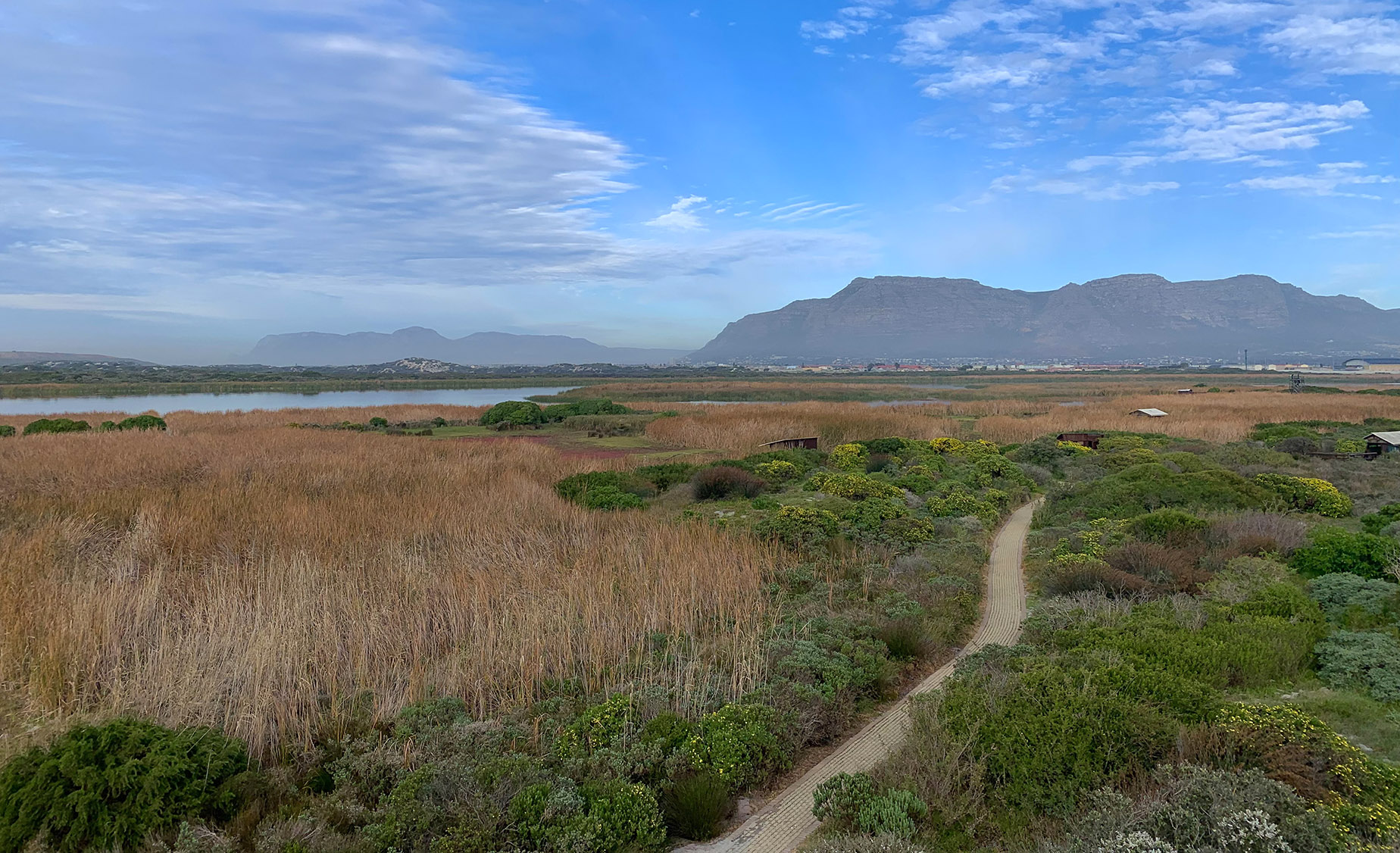 Local conservation groups feel ‘undermined’ by Cape Town’s biodiversity management branch