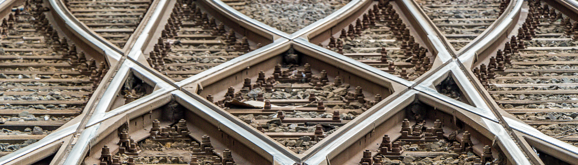 Election 2024: navigating risk – and opportunity