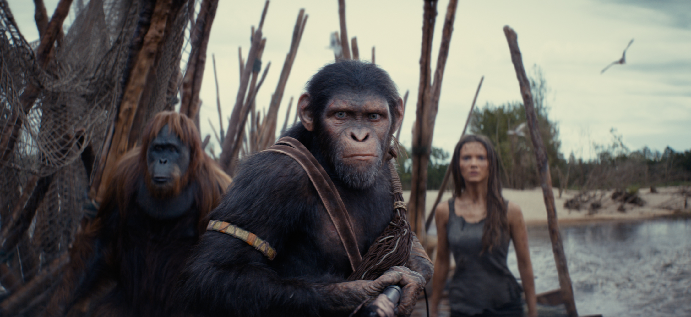 Kingdom of the Planet of the Apes kicks off a new trilogy