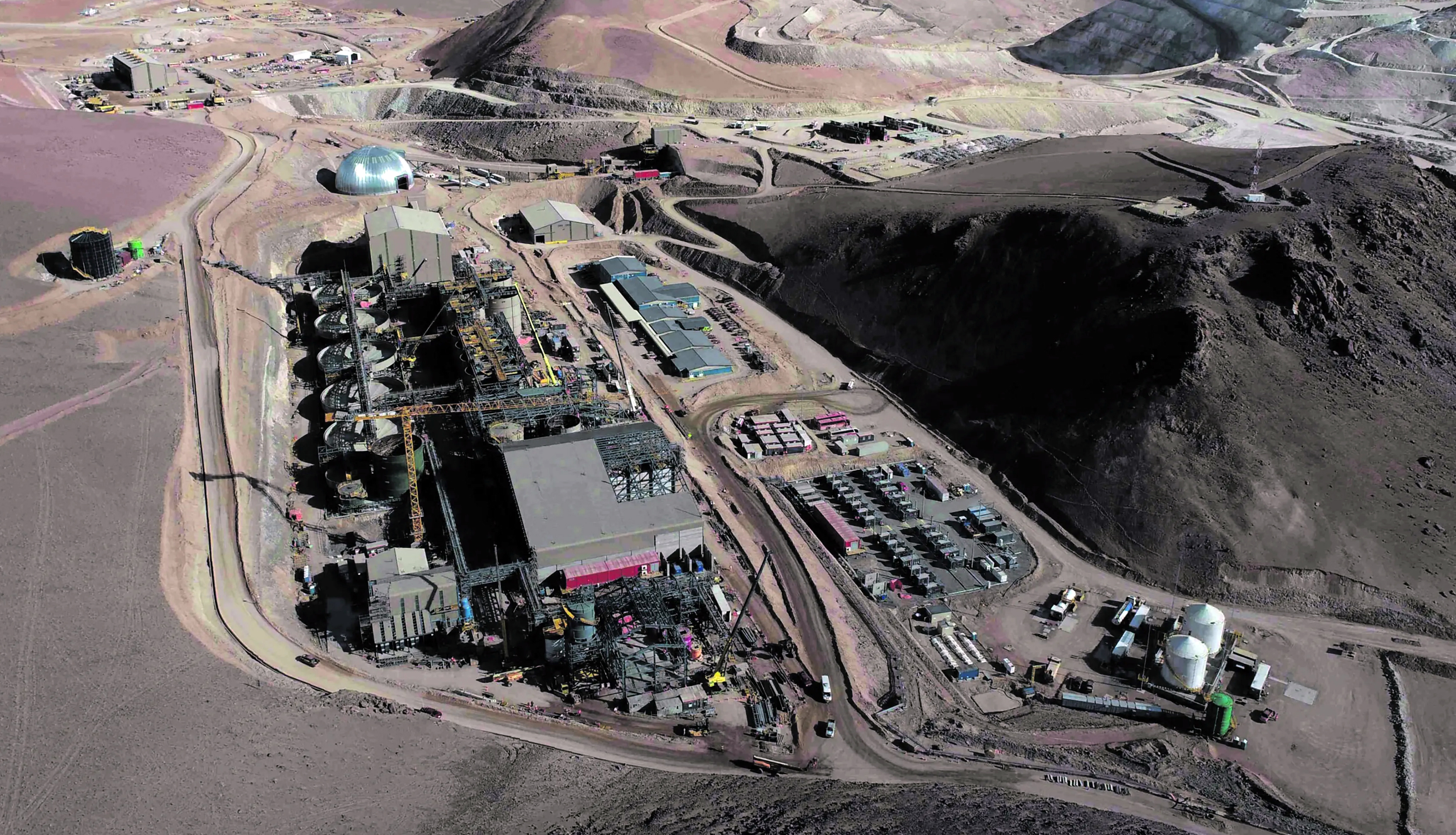Mystery of missing chinchillas at Gold Fields’ new Chilean mine