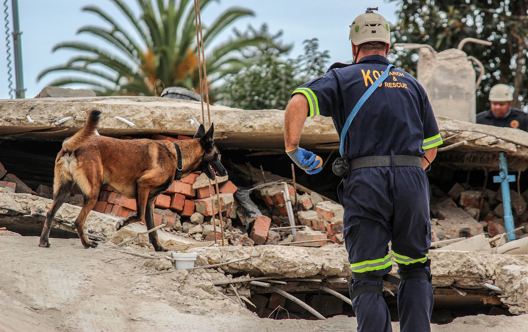 George residents champion the ‘superdogs’ searching for survivors of building collapse