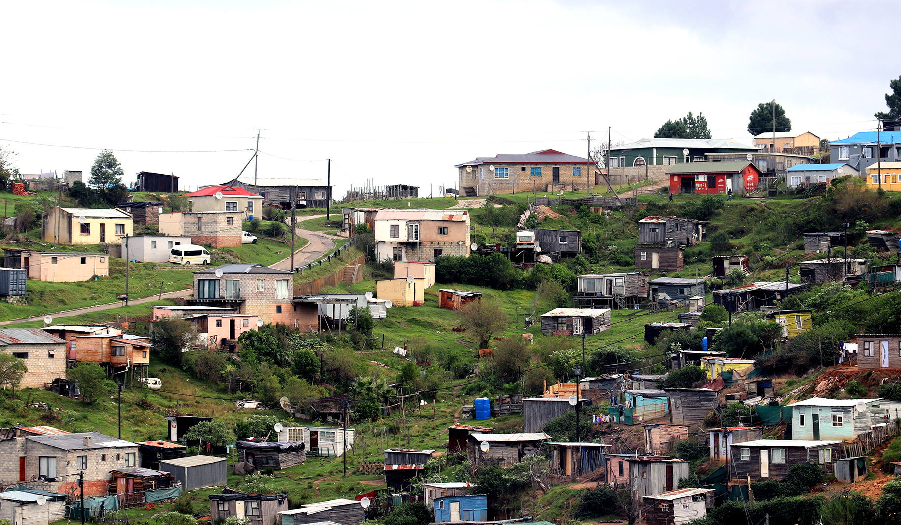 ‘When two elephants fight, it’s the grass that suffers — and Knysna is the grass’