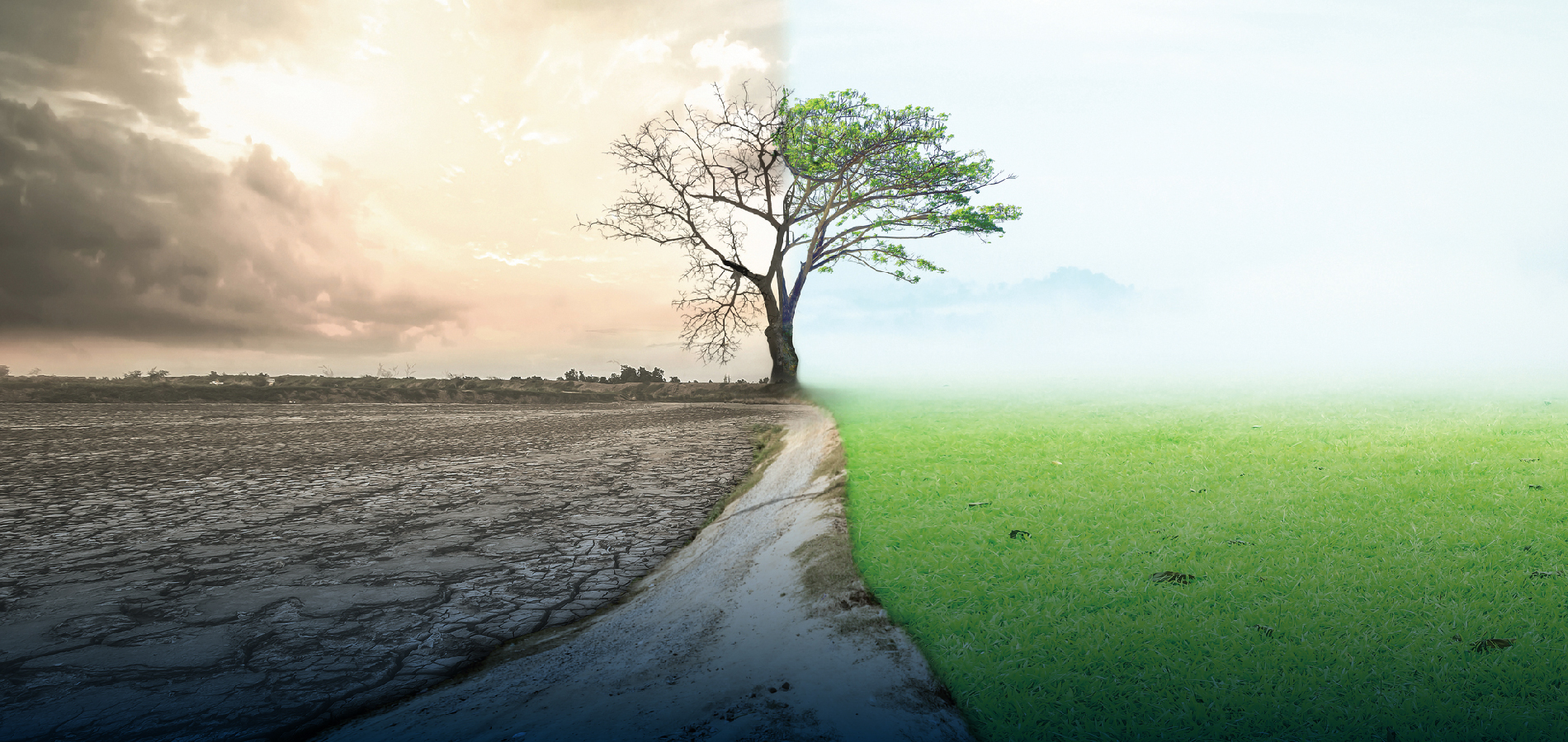 Studying sustainability is a benefit for society