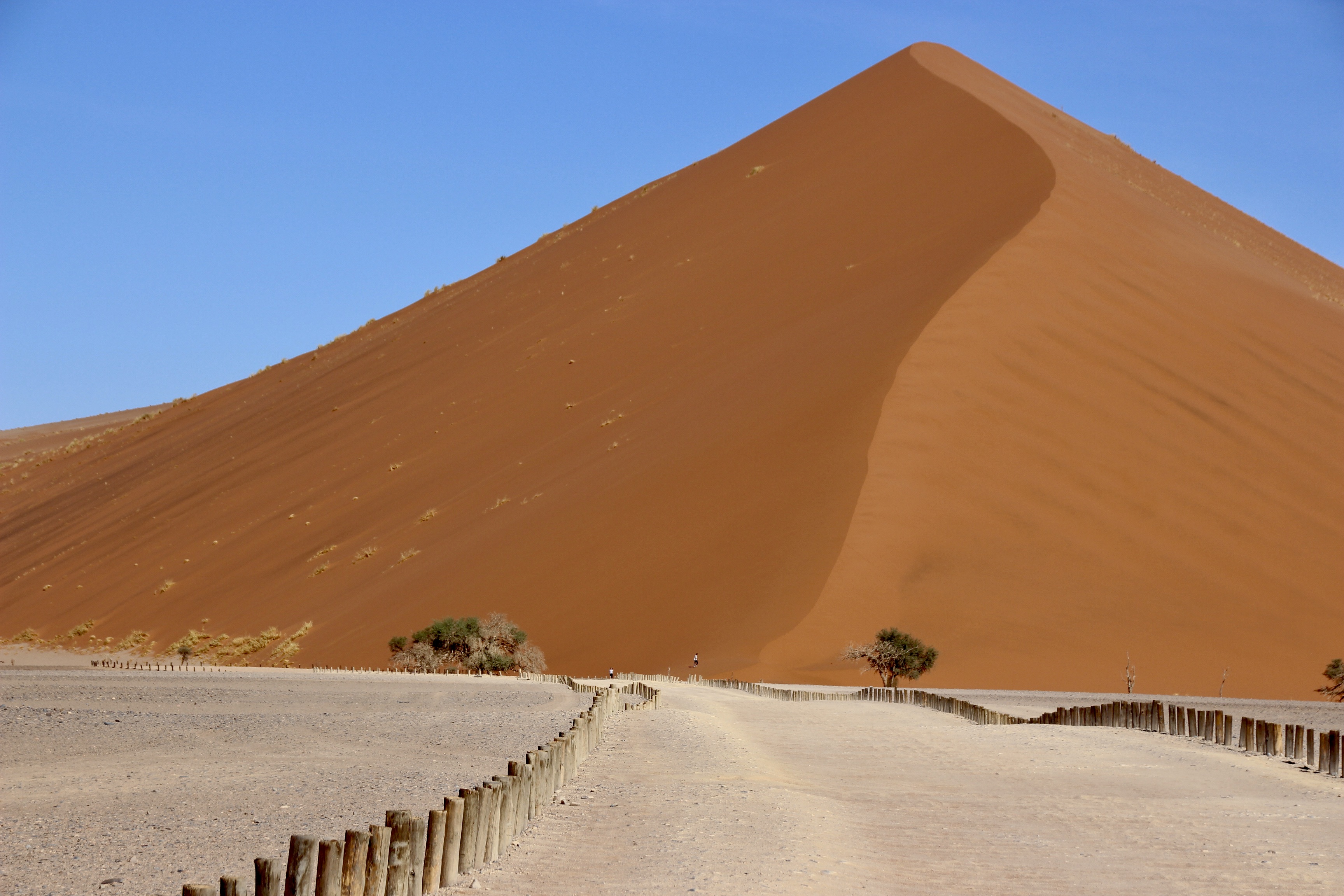 P4U_readersubmission_20240621