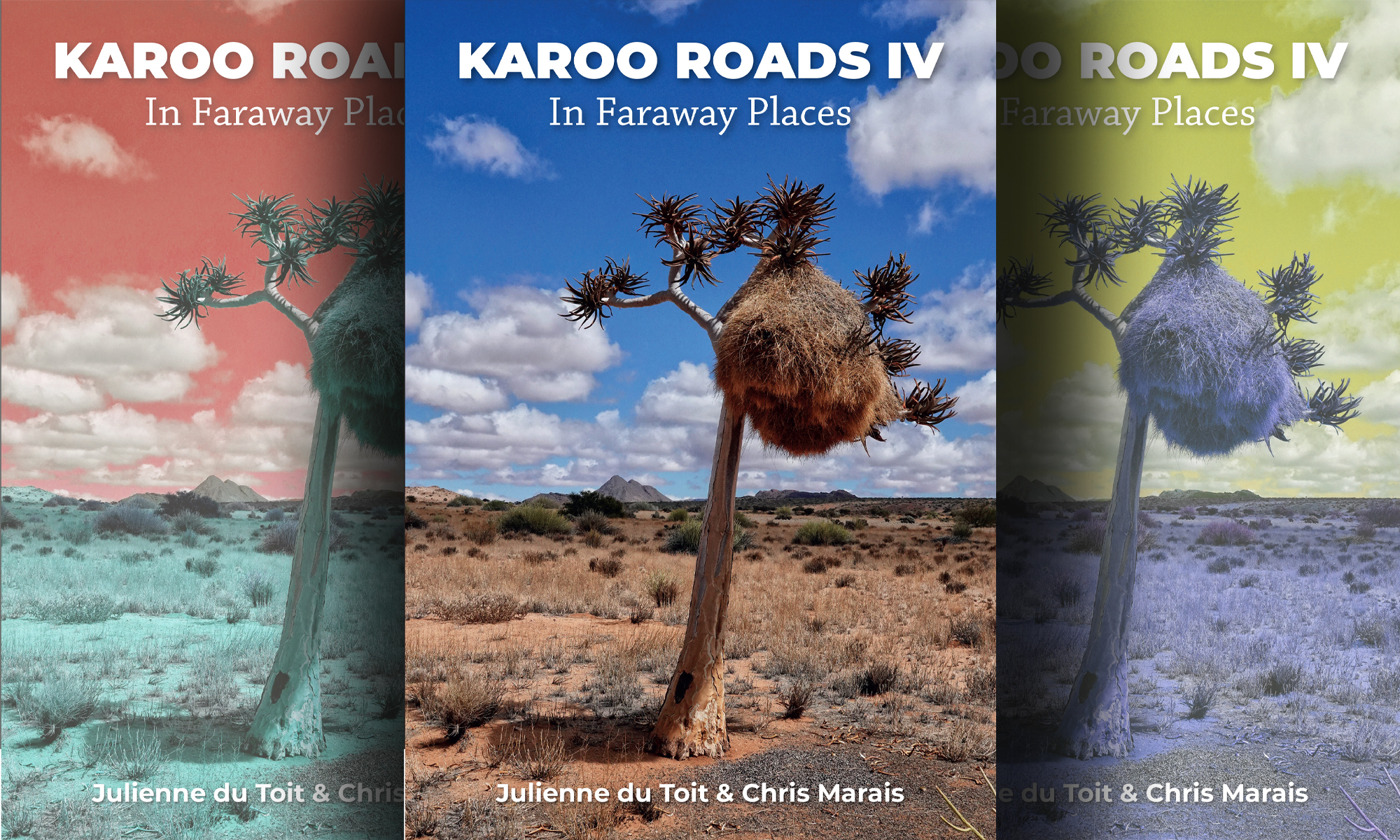 Karoo Roads IV — Freewheeling on the Frontier