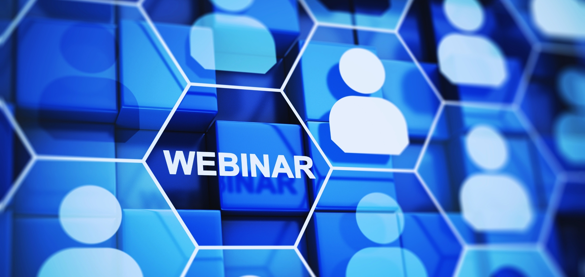 Crypto, AI, plastics and dry taps — Daily Maverick’s May round-up of #LiveJournalism