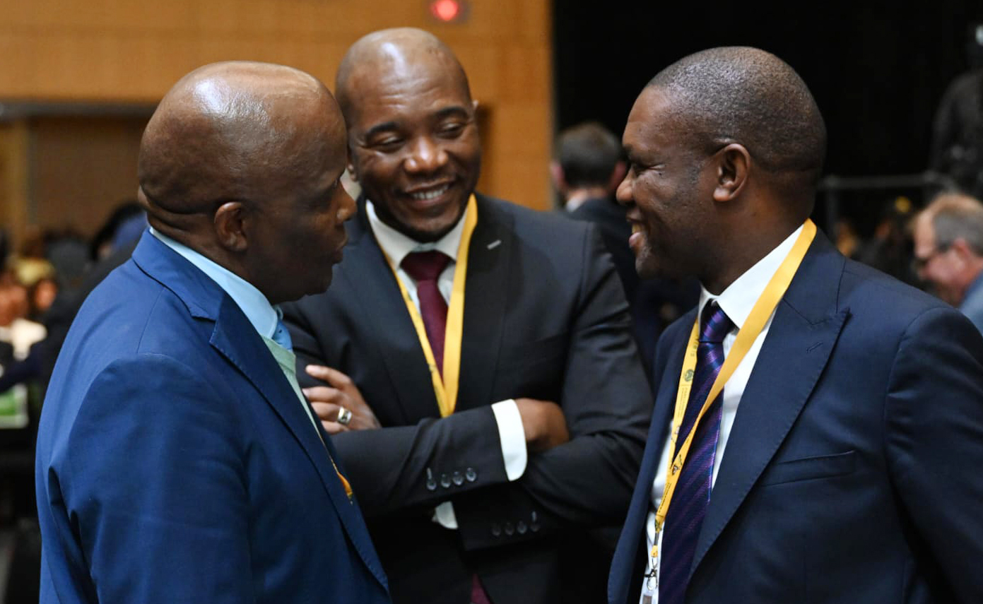 GNU pie will be divided by vote share — no cadre deployment, says draft ANC document