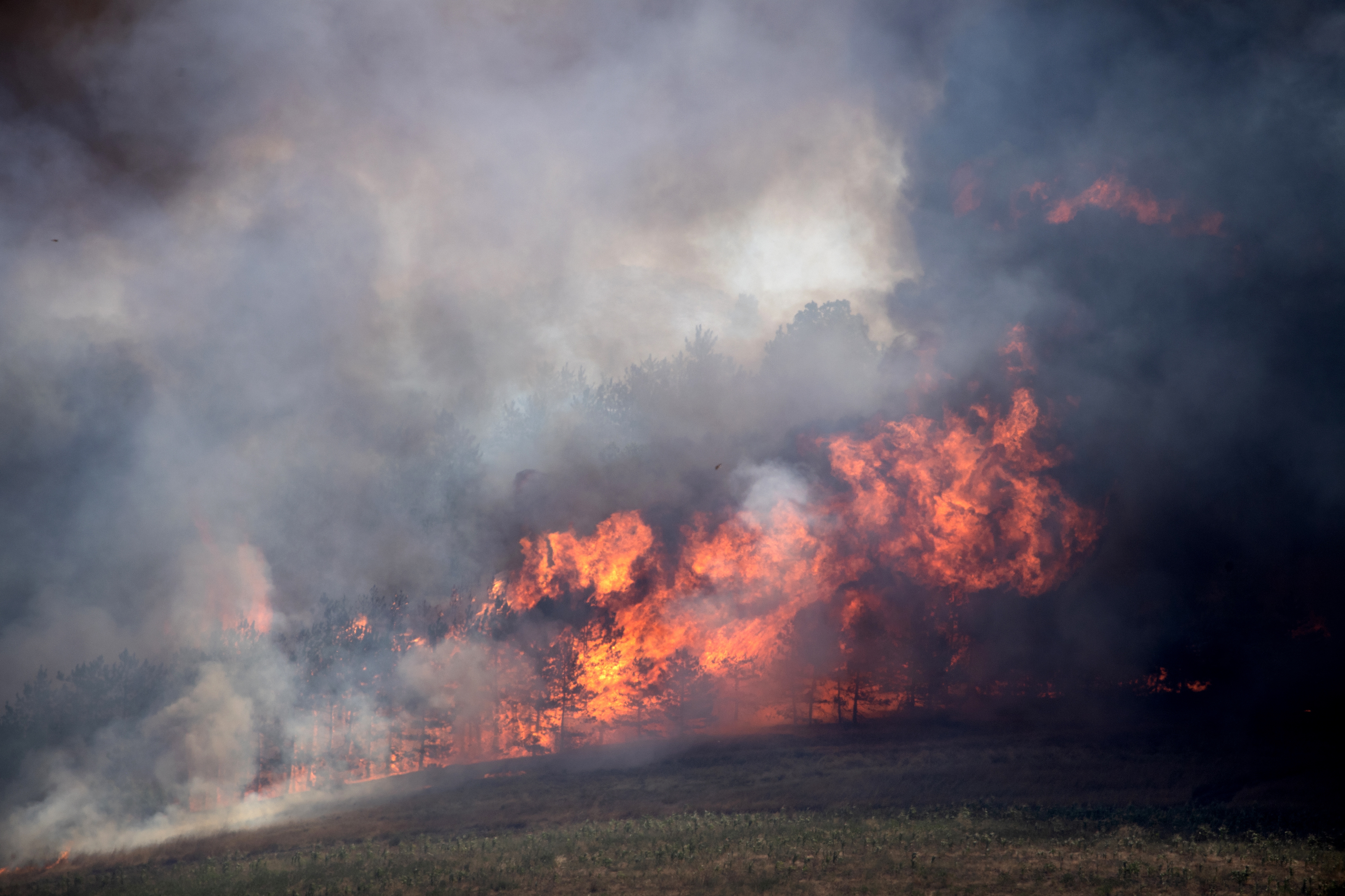Wildfires in North Macedonia