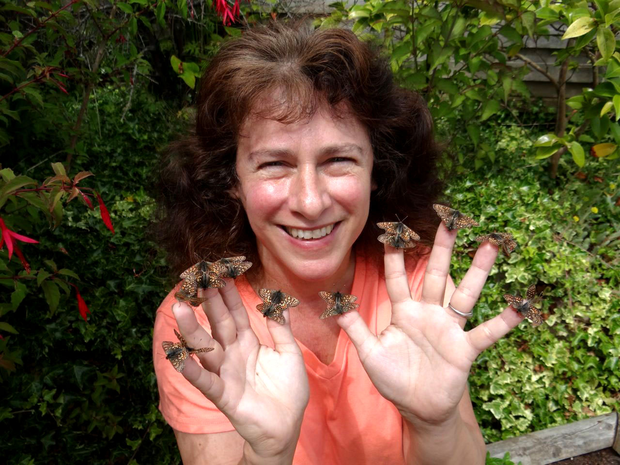 The climate crisis — how hybrid species will save the world