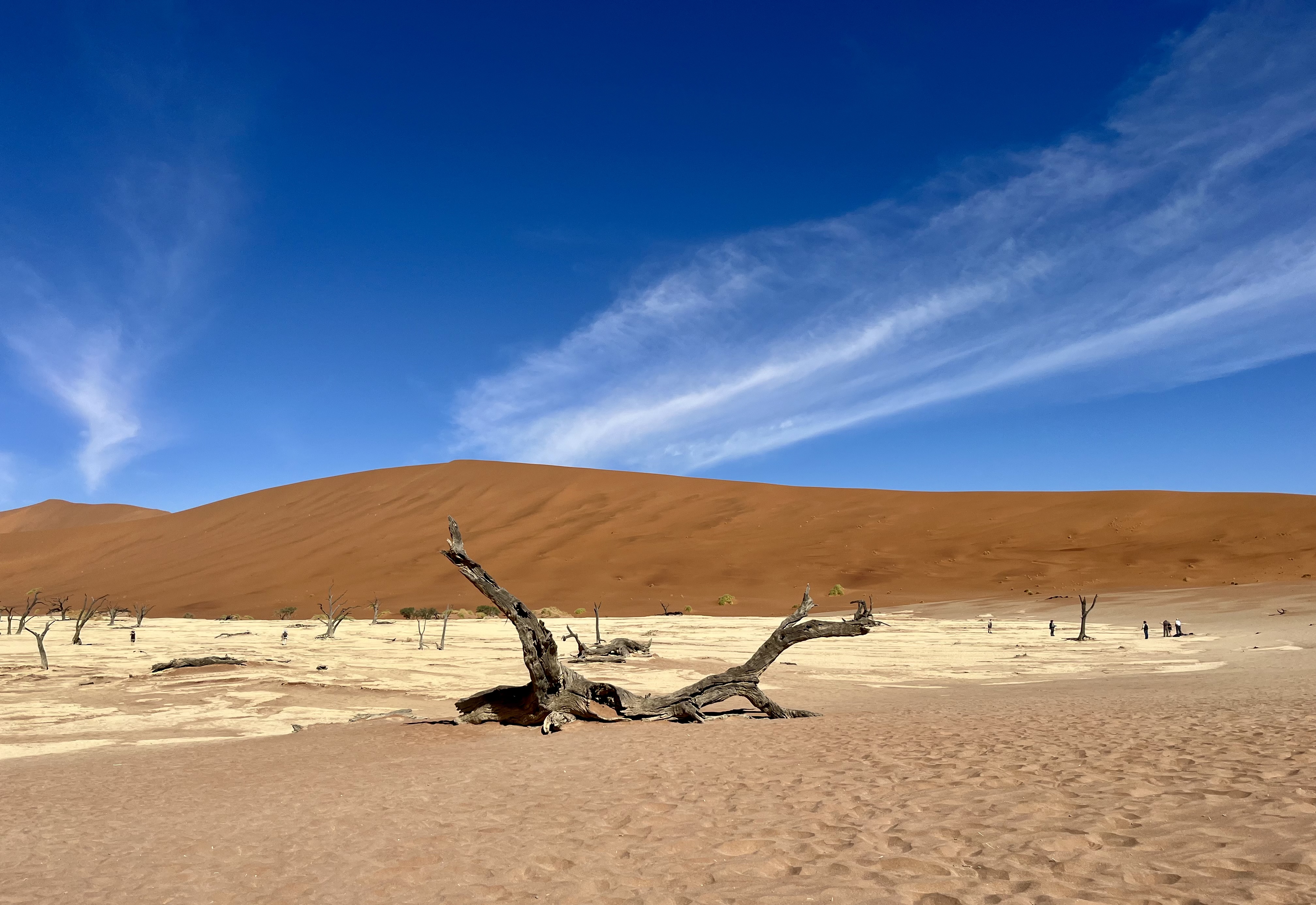 P4U_readersubmission_20240719