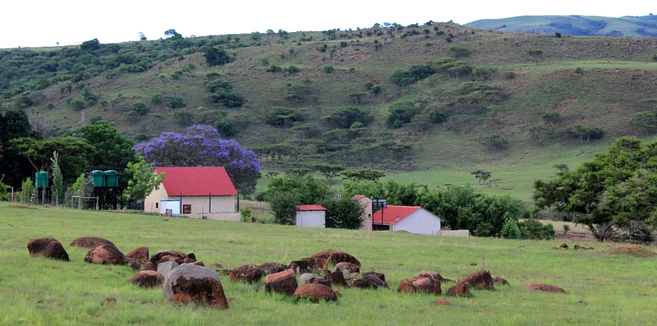 'Fatally flawed environmental impact assessment' – residents fight proposed Drakensberg high-voltage line