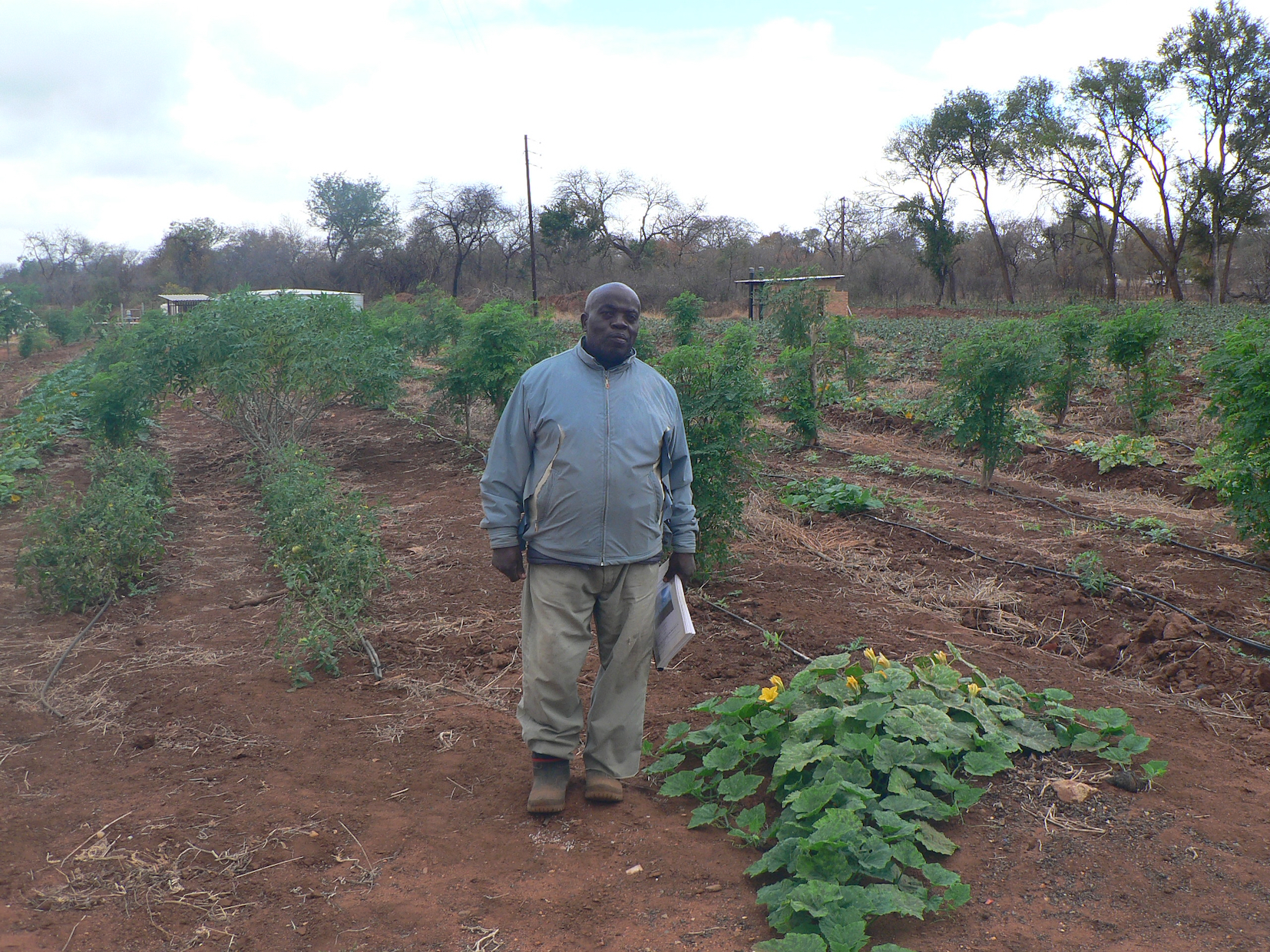 Limpopo farmers fear loss of land to Motsepe Foundation citrus project