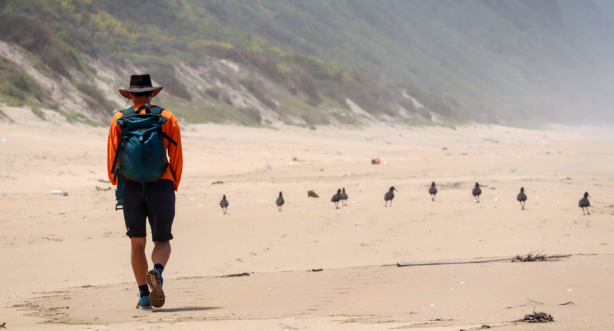 How citizen science is uncovering animal adaptations to climate change