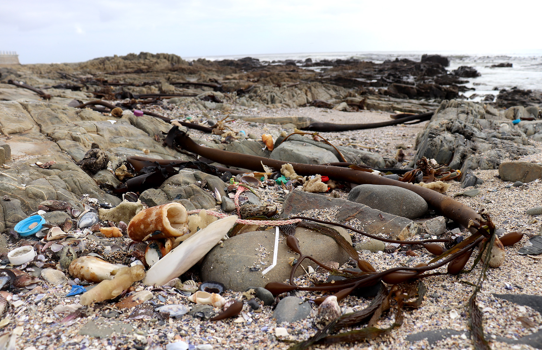 Ending plastic pollution is a human and planetary health imperative