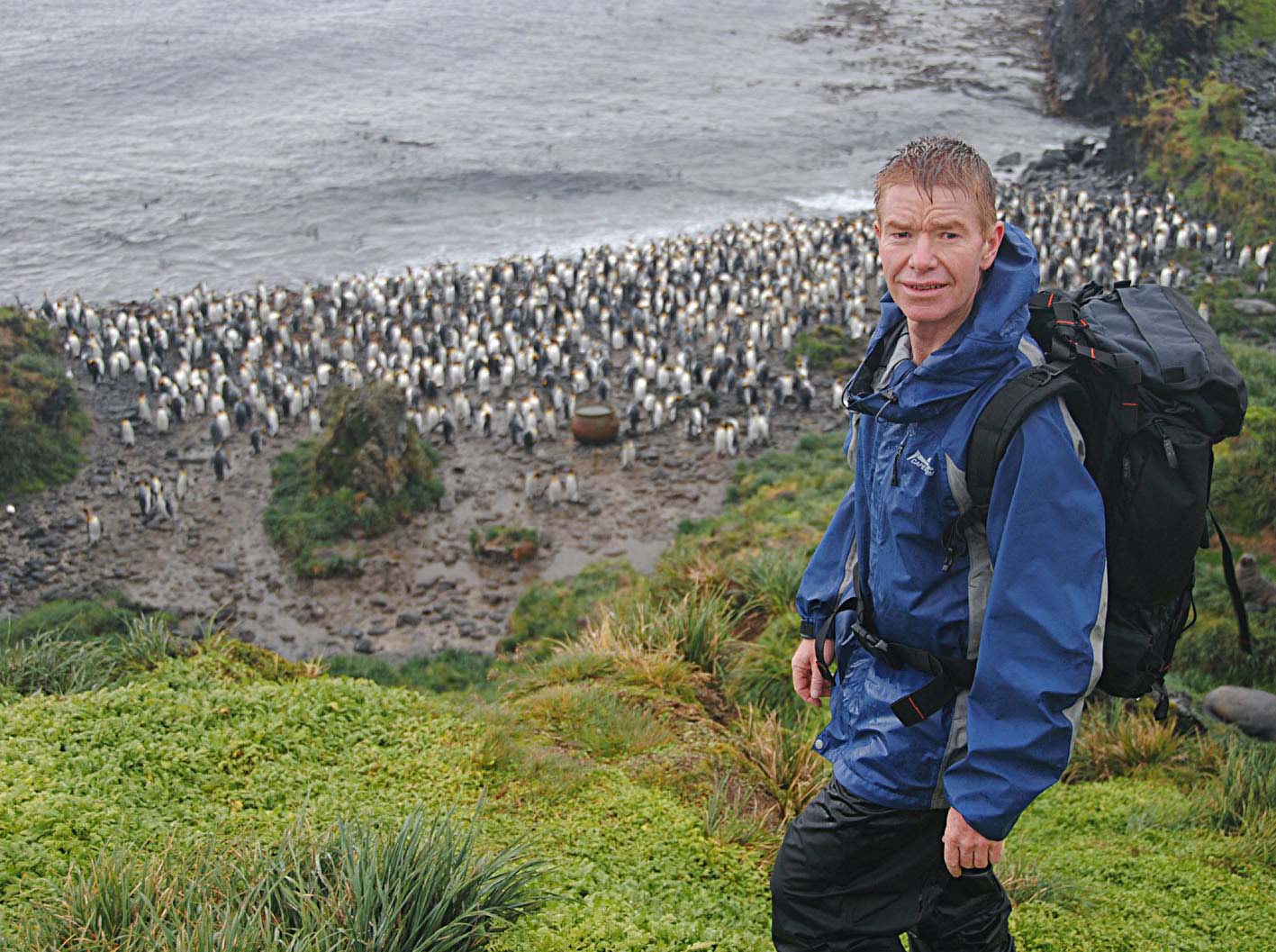 Marion, a sub-Antarctic island, turns green — but at a cost