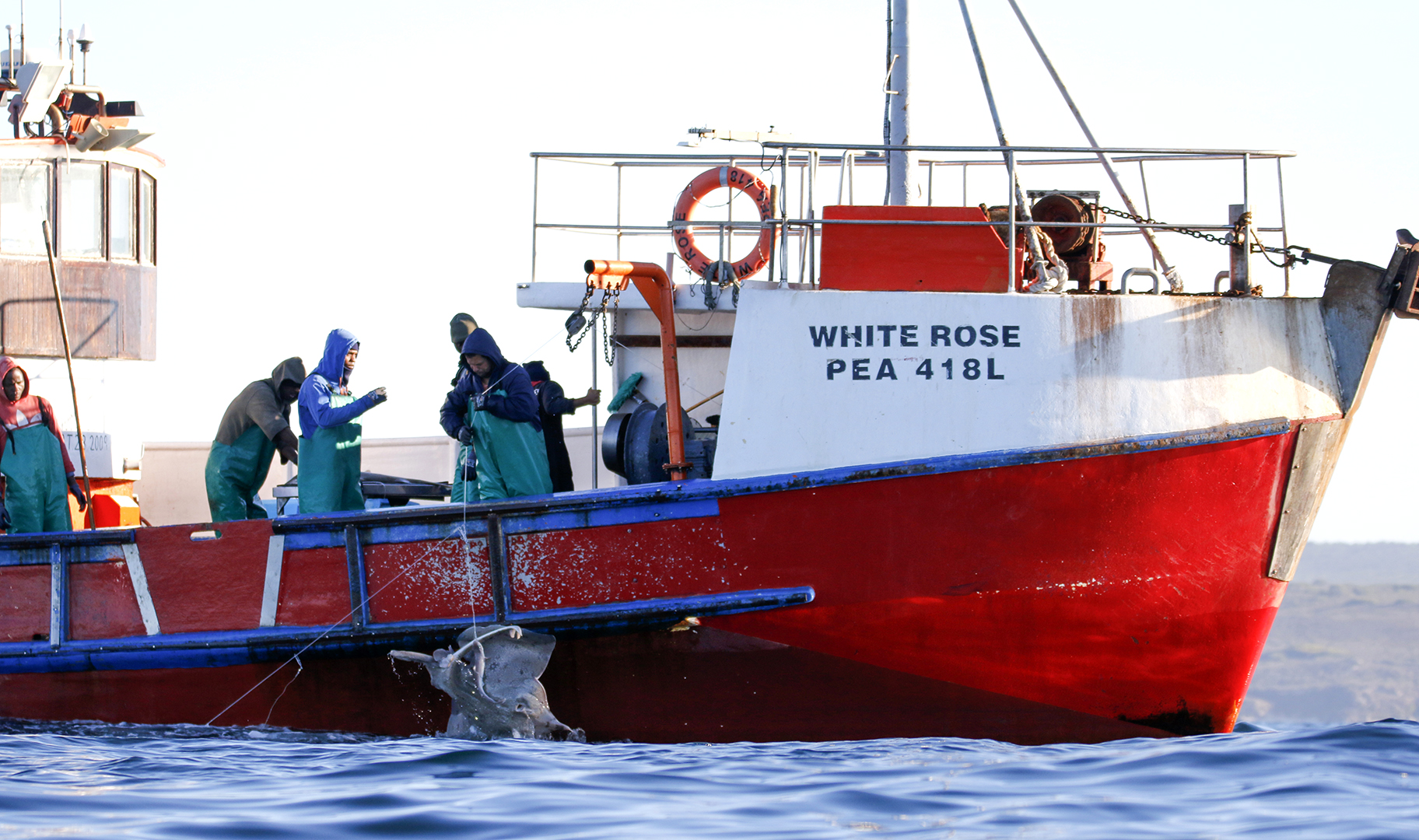 WTO fisheries agreement gains momentum, but will Africa's coastal states rise to the challenge?