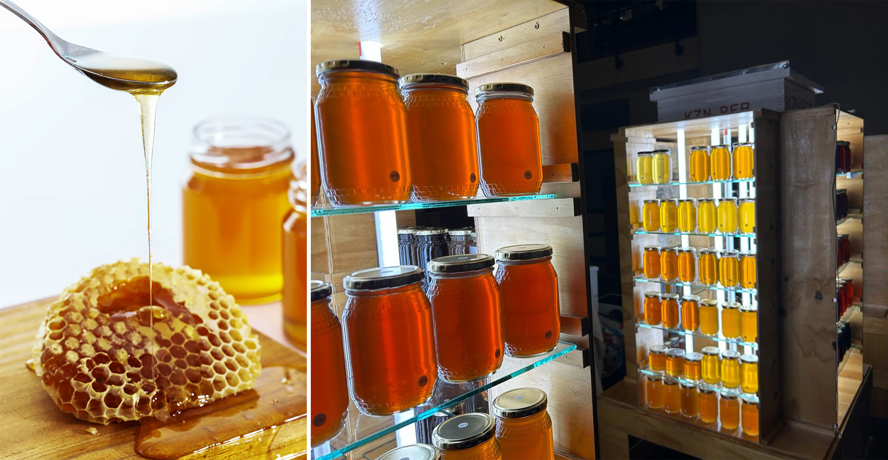Sweet nothings — how South Africans are stung by ‘honey laundering’