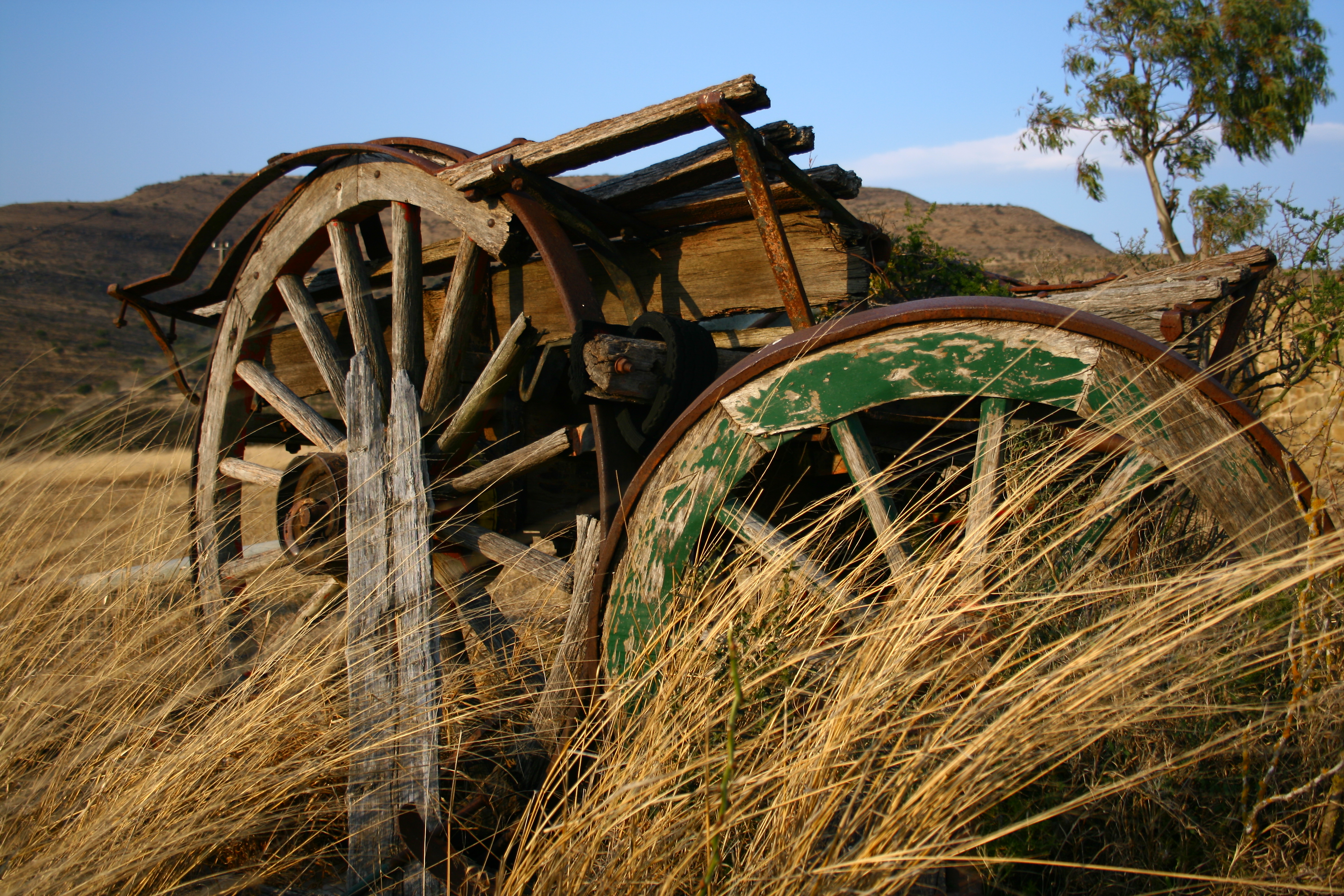 Tracks across the Veld: Transport legends of the Old Karoo