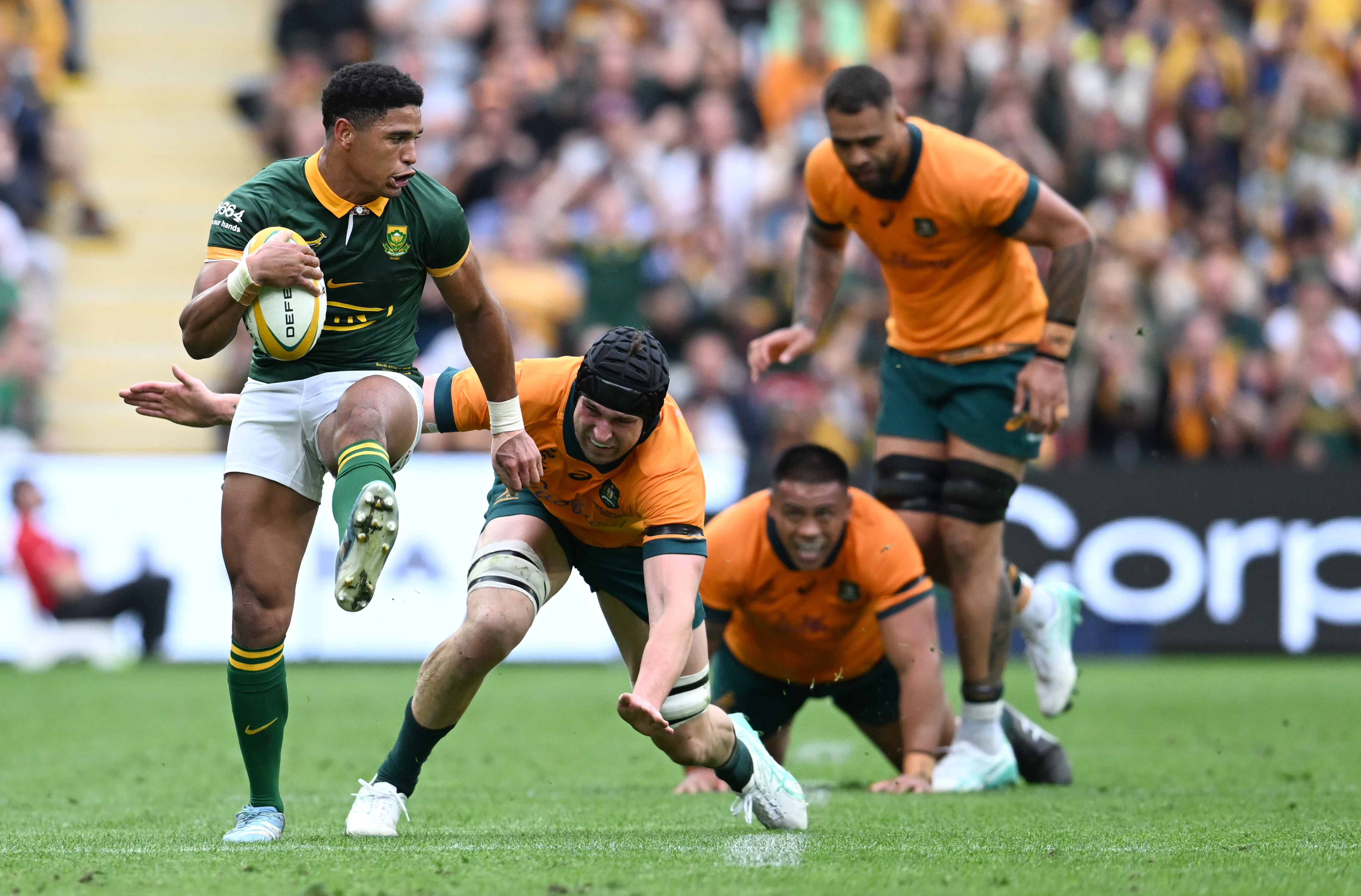 Bold selections and game plan lay the platform for more Springbok success