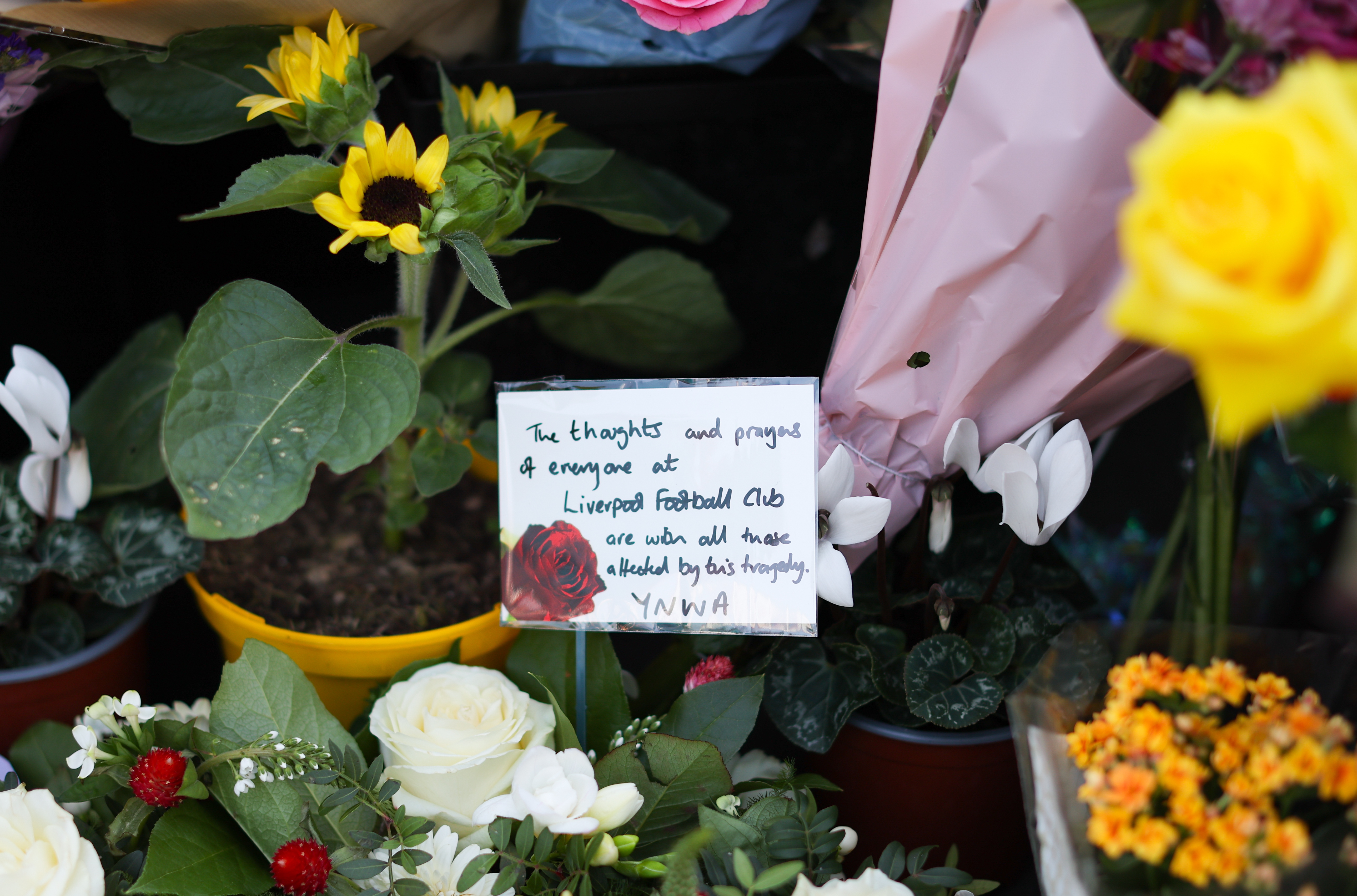 The hooligans of race and religious hate are on the rampage - can the humans in the house  take a stand against this madness??